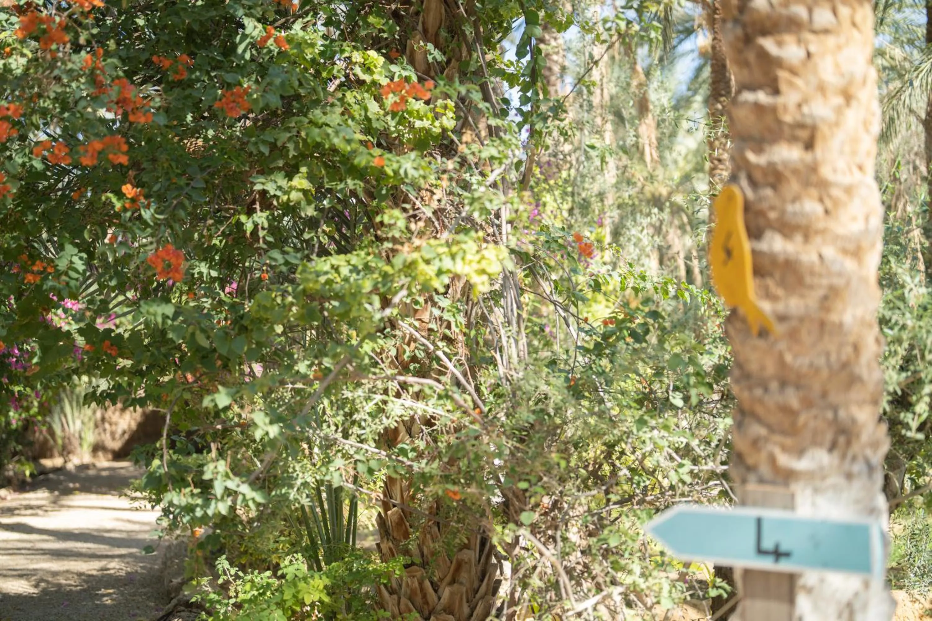 Natural landscape in Diar Abou Habibi