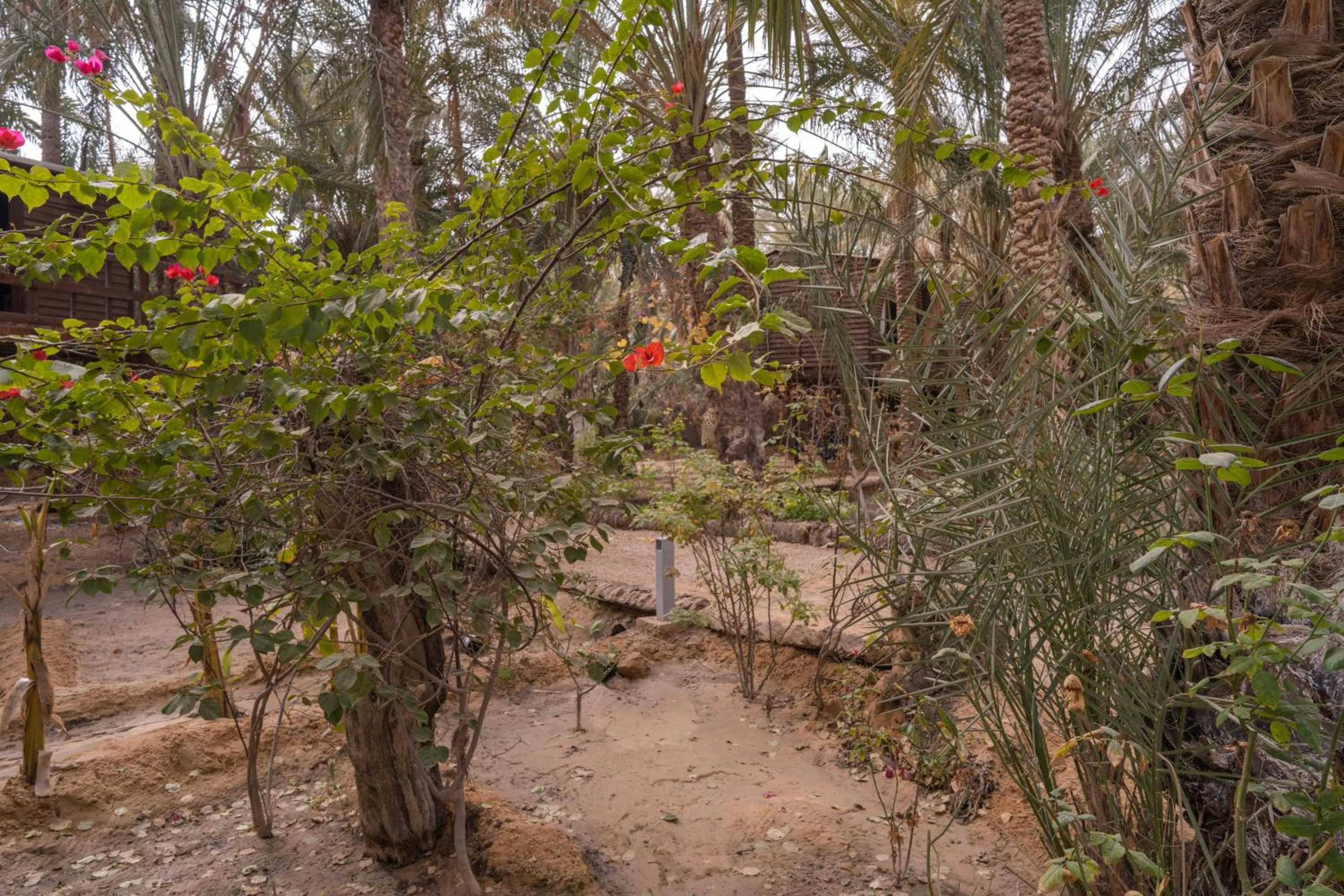 Day in Diar Abou Habibi