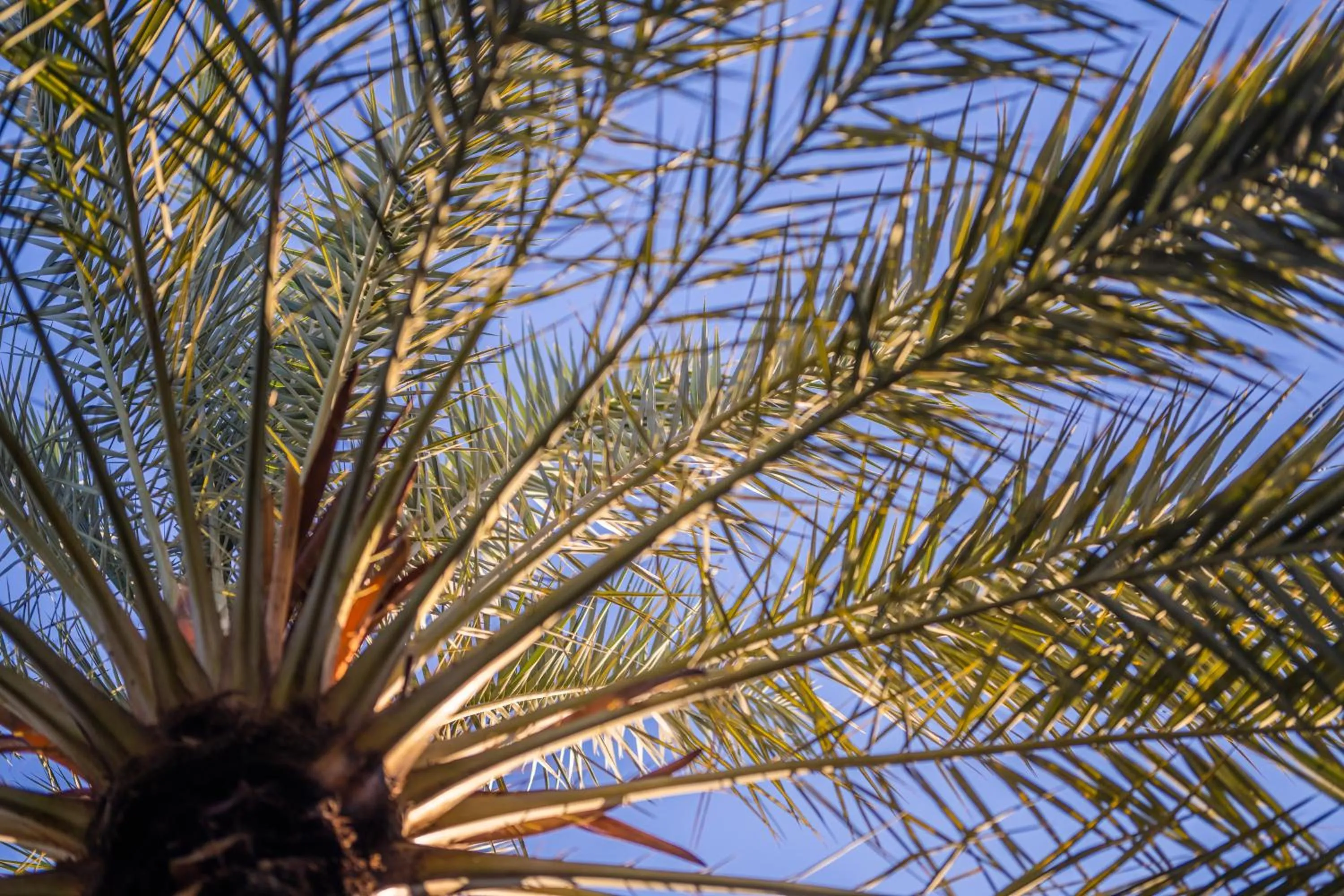 Natural landscape in Diar Abou Habibi