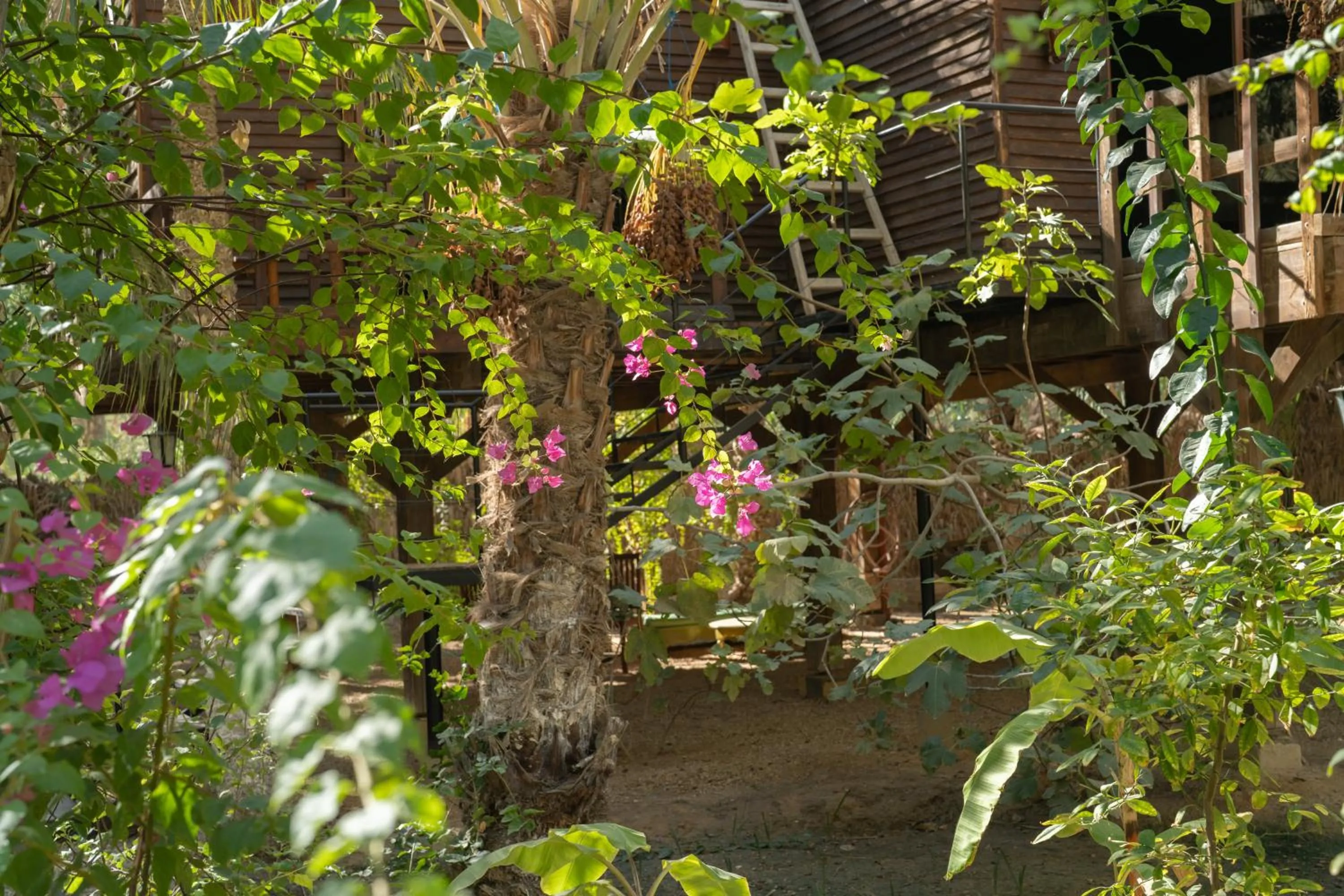 Natural landscape in Diar Abou Habibi