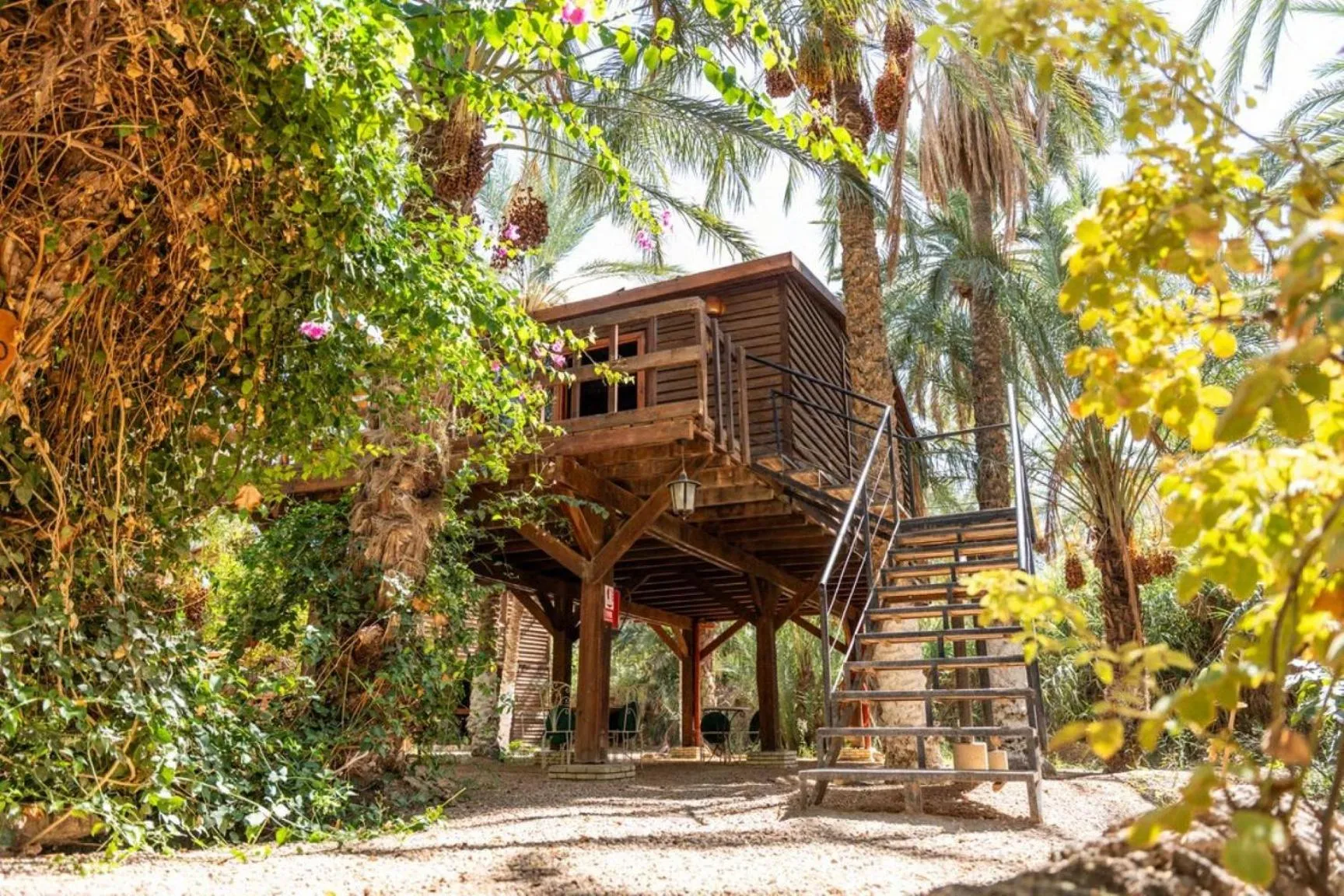 Garden view in Diar Abou Habibi
