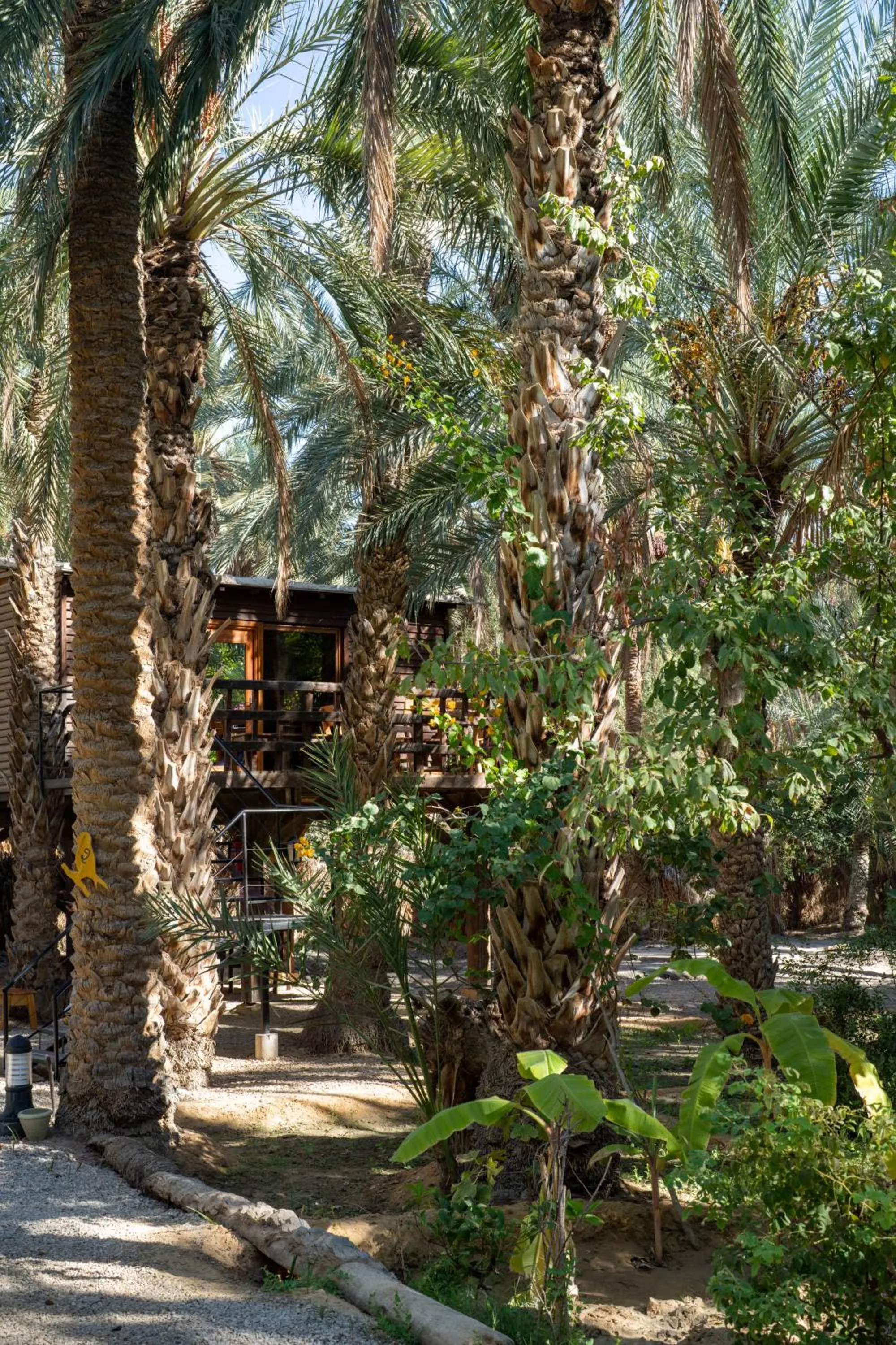 Natural landscape in Diar Abou Habibi
