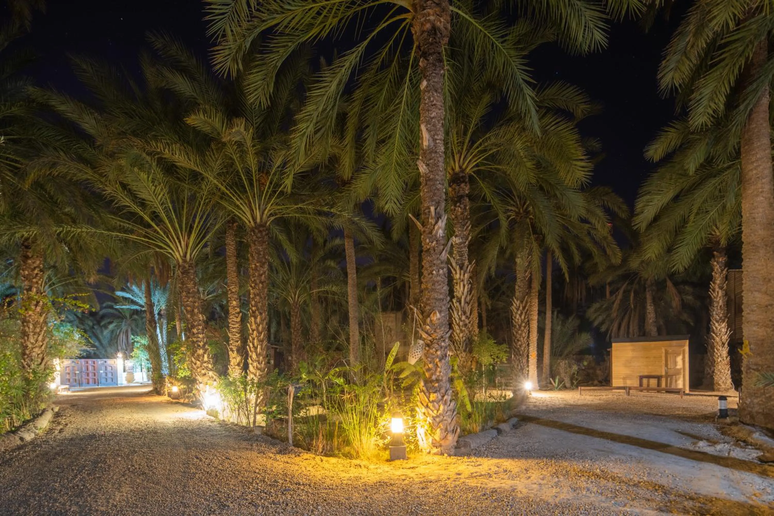 Night in Diar Abou Habibi