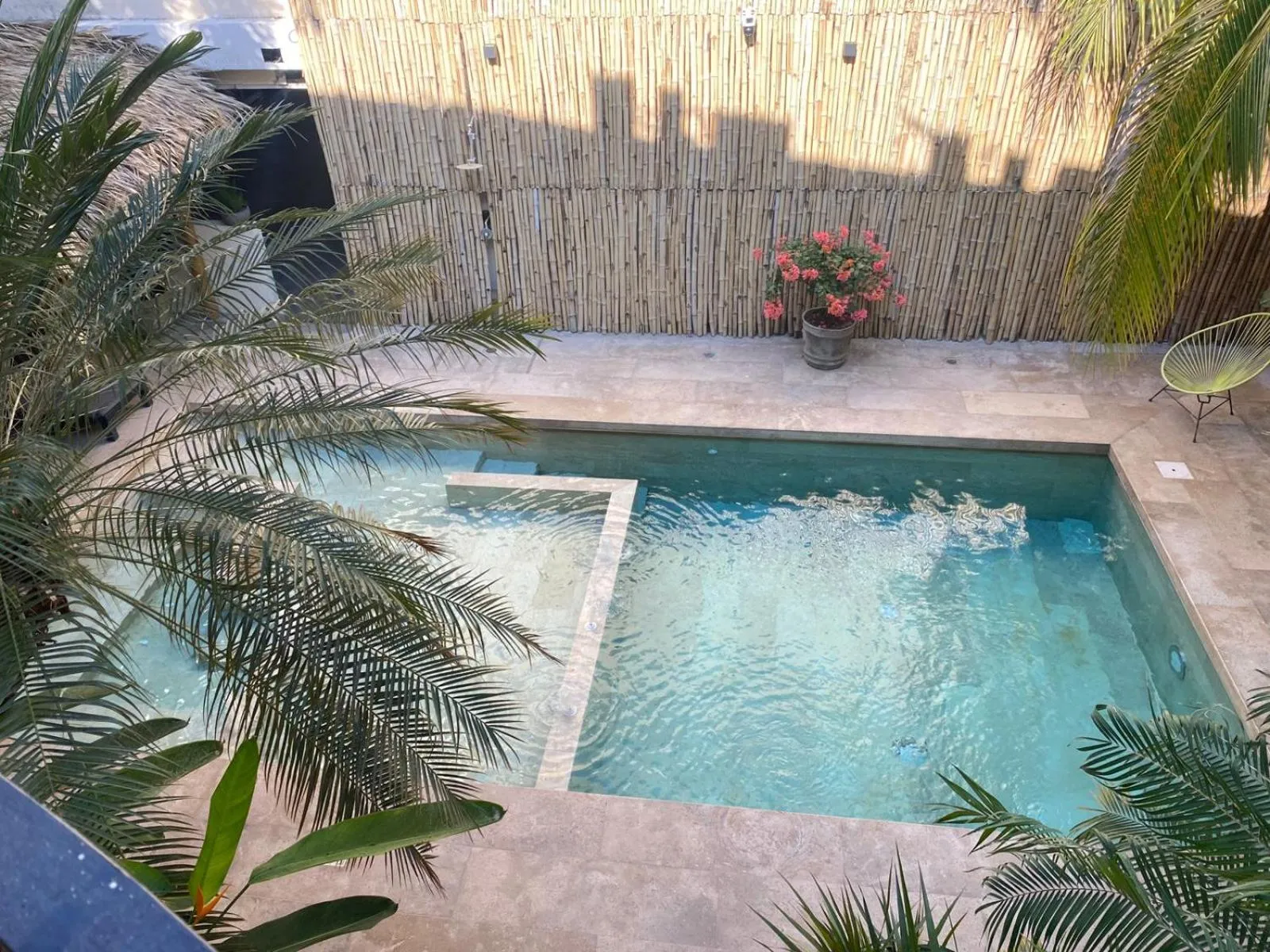 Day in Ashly Boulevard