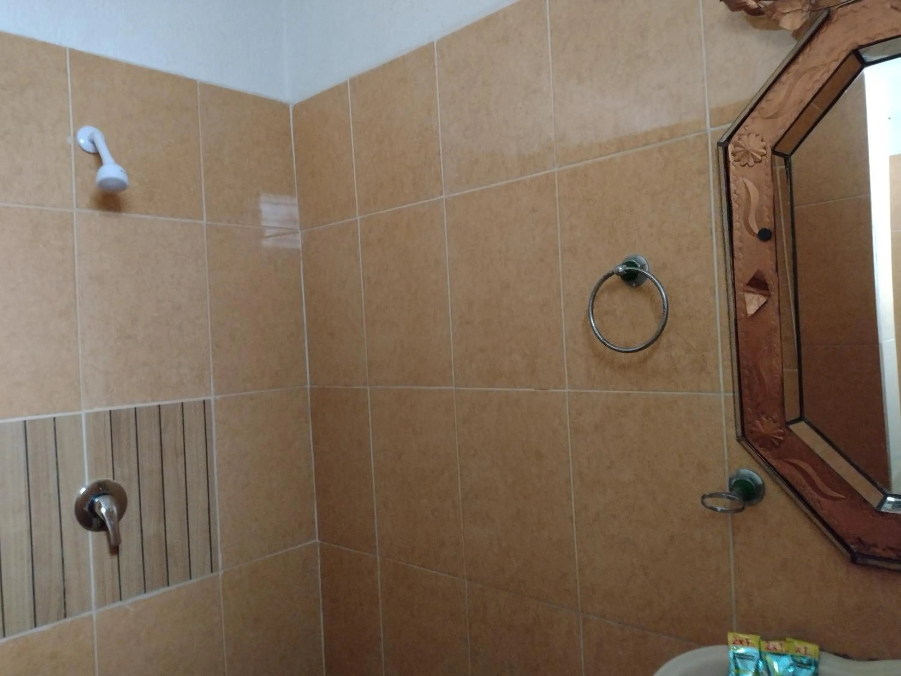 Bathroom in Ashly Boulevard