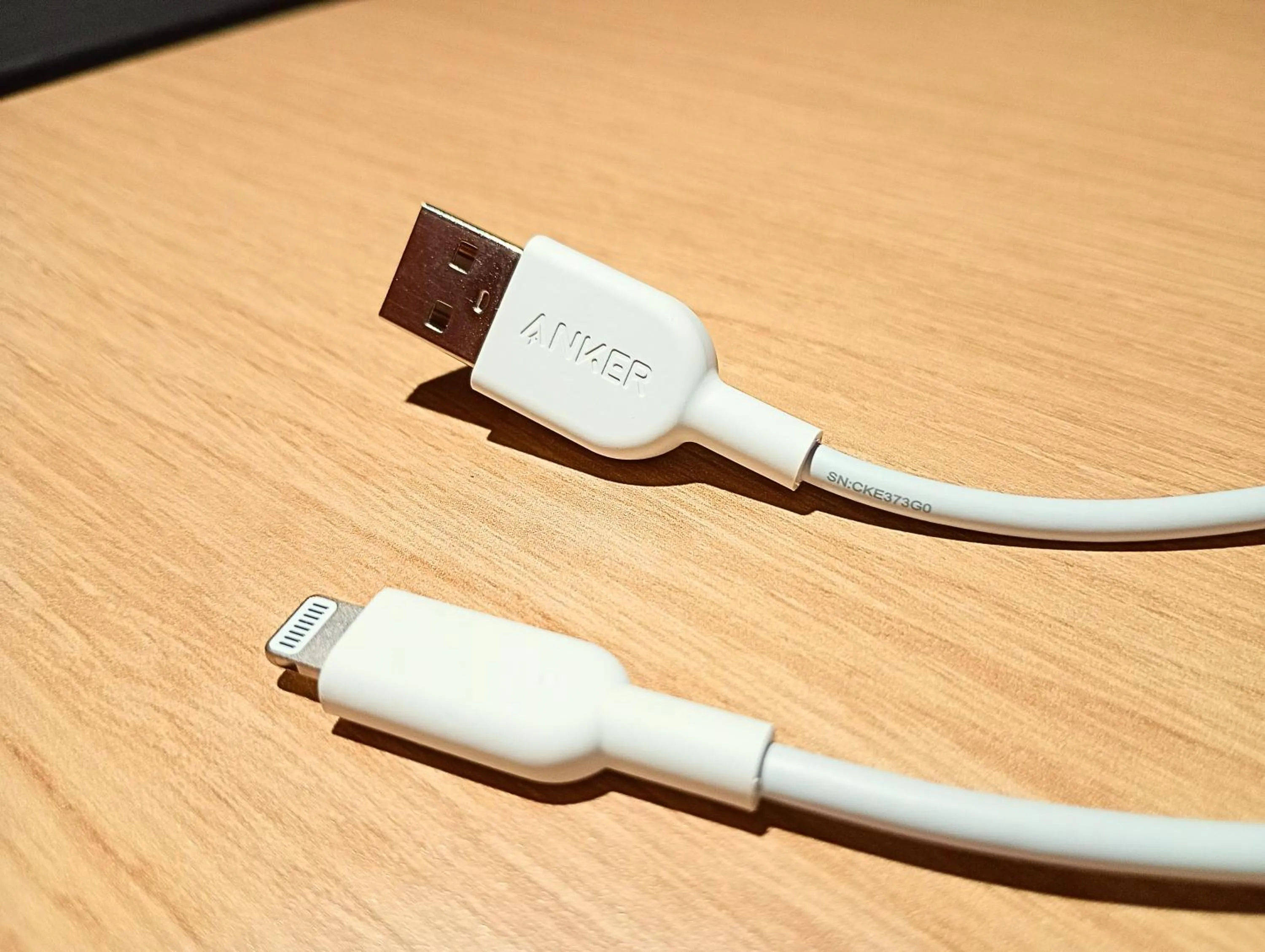 Photo of the whole room in Richmond Hotel Kagoshima Tenmonkan