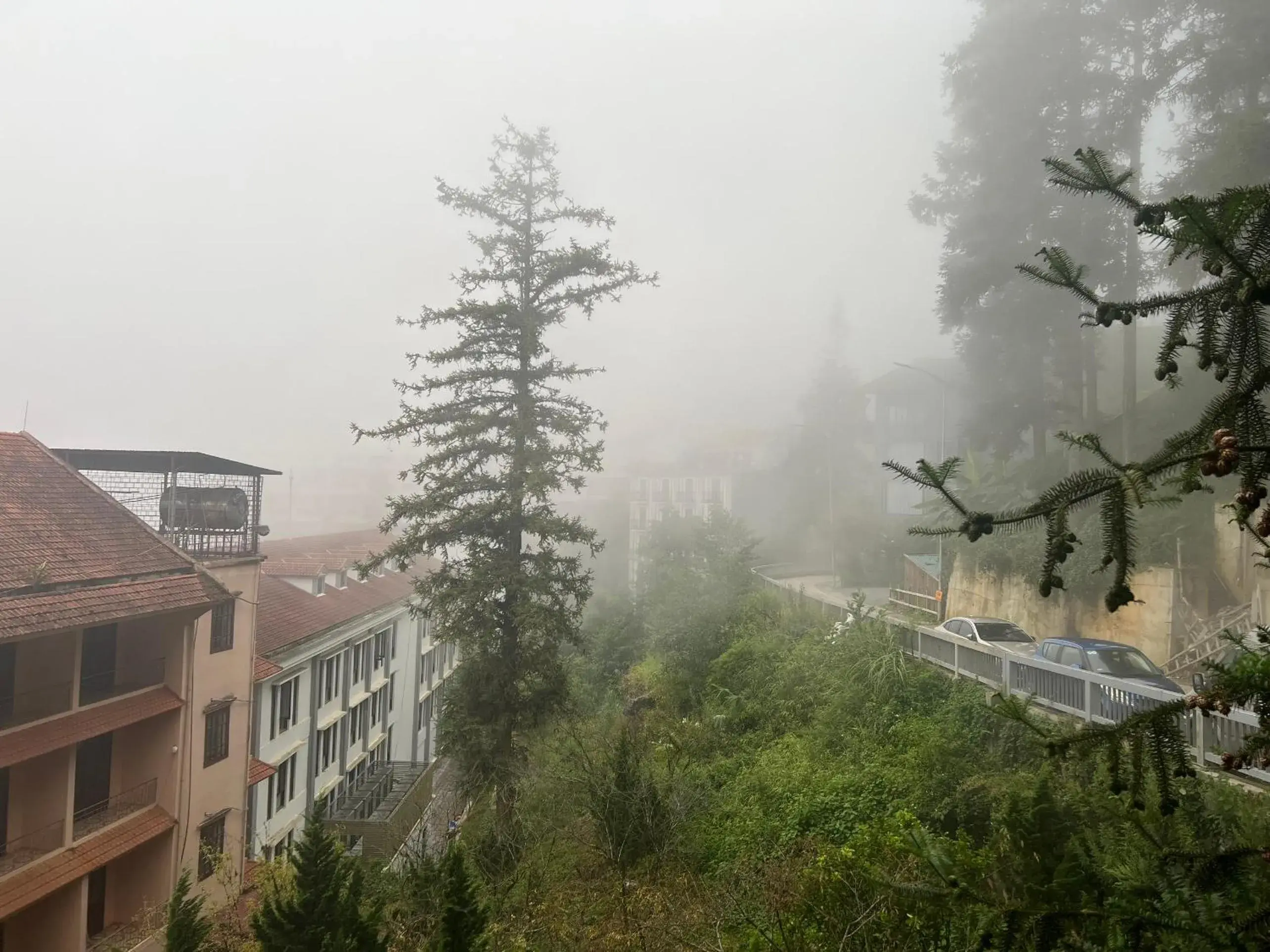 View (from property/room) in Sapa Elite Hotel View (from property/room) in Sapa Elite Hotel