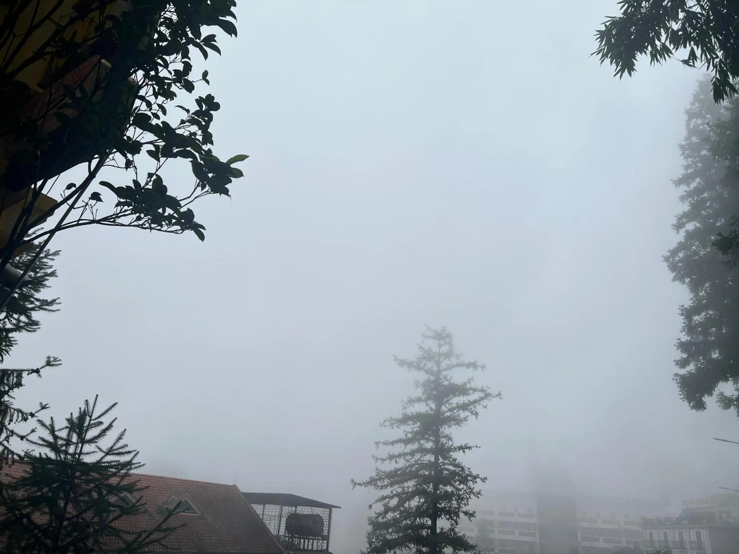 View (from property/room) in Sapa Elite Hotel