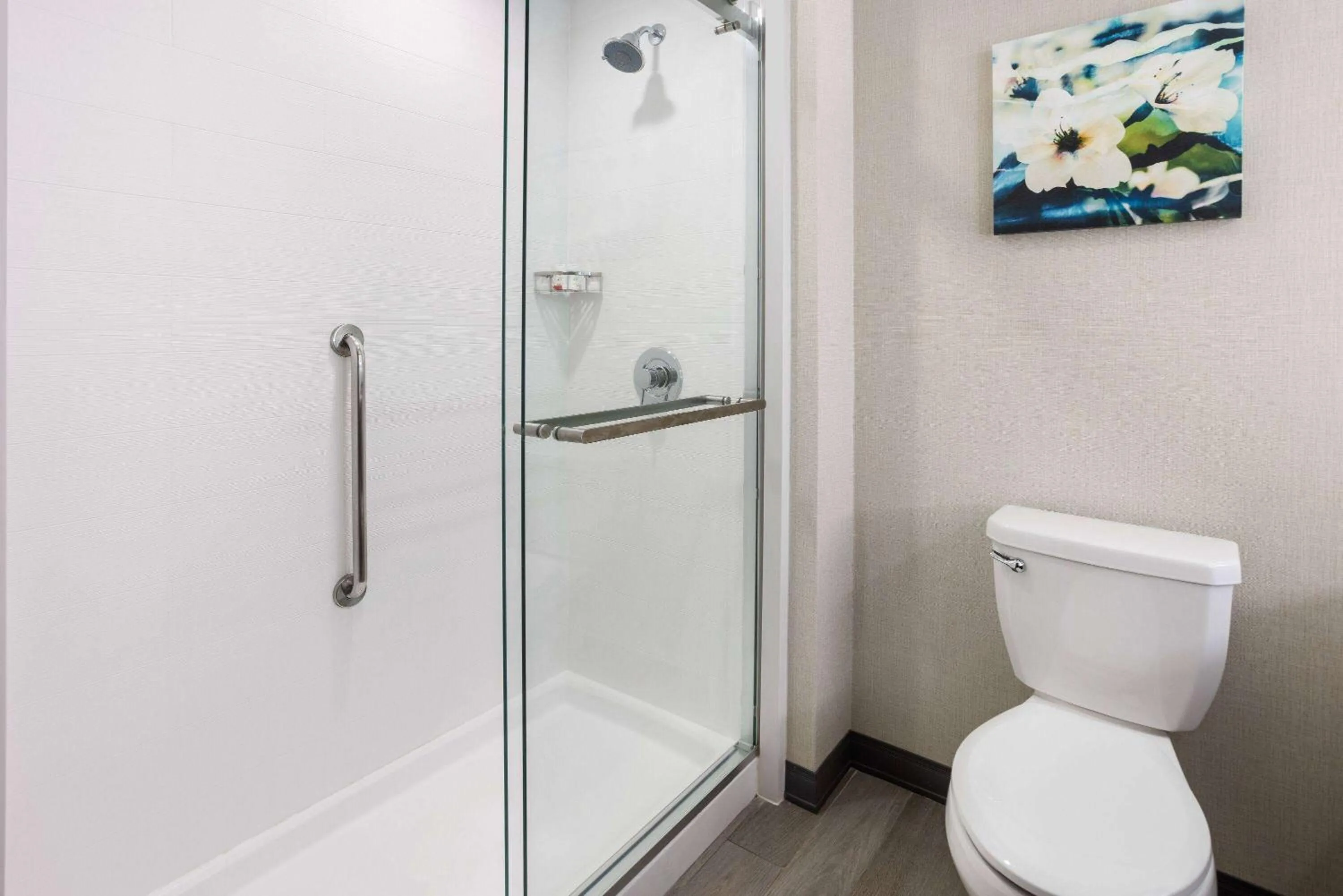 TV and multimedia in La Quinta Inn & Suites by Wyndham Locust Grove