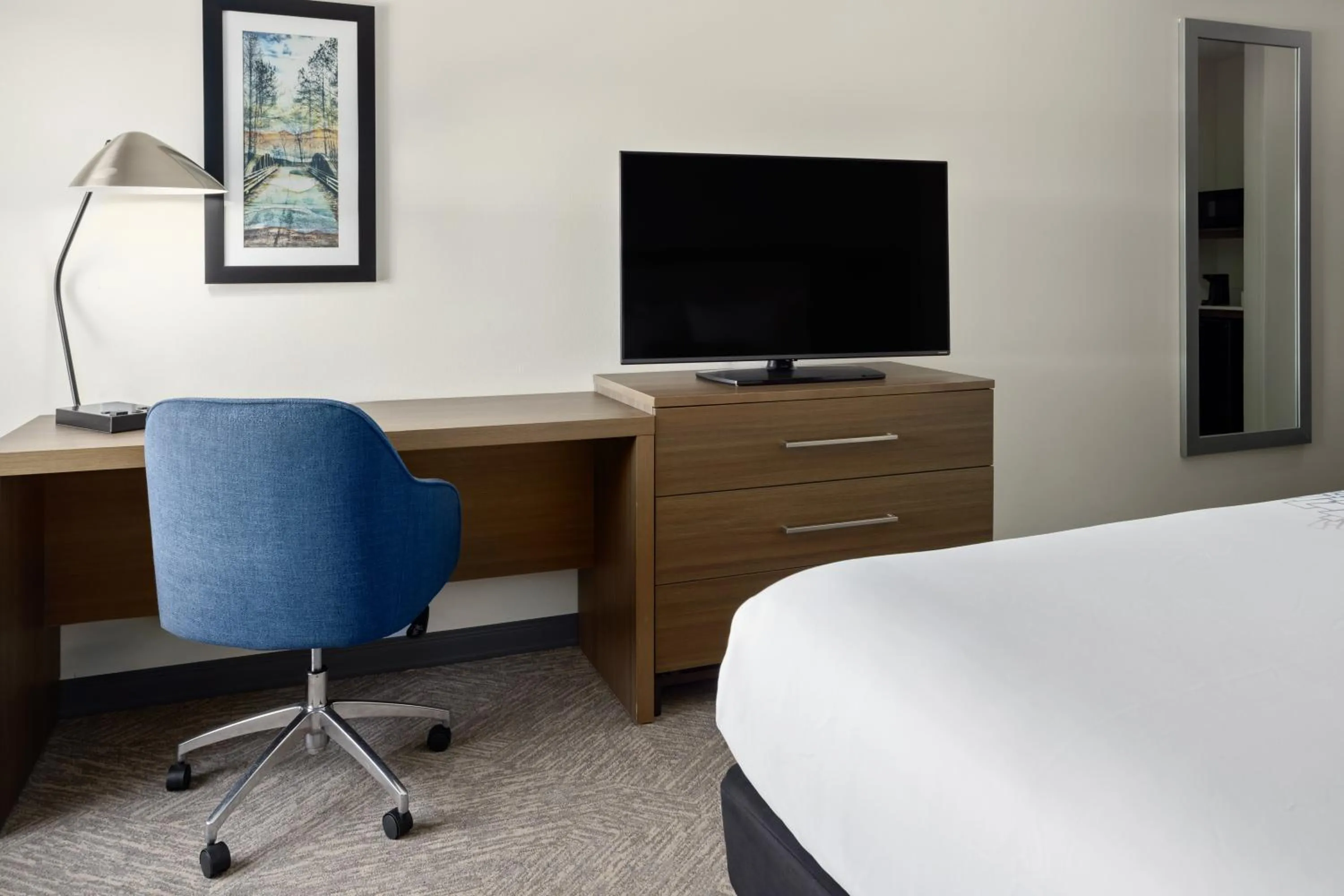 TV and multimedia, Bed in La Quinta Inn & Suites by Wyndham Locust Grove