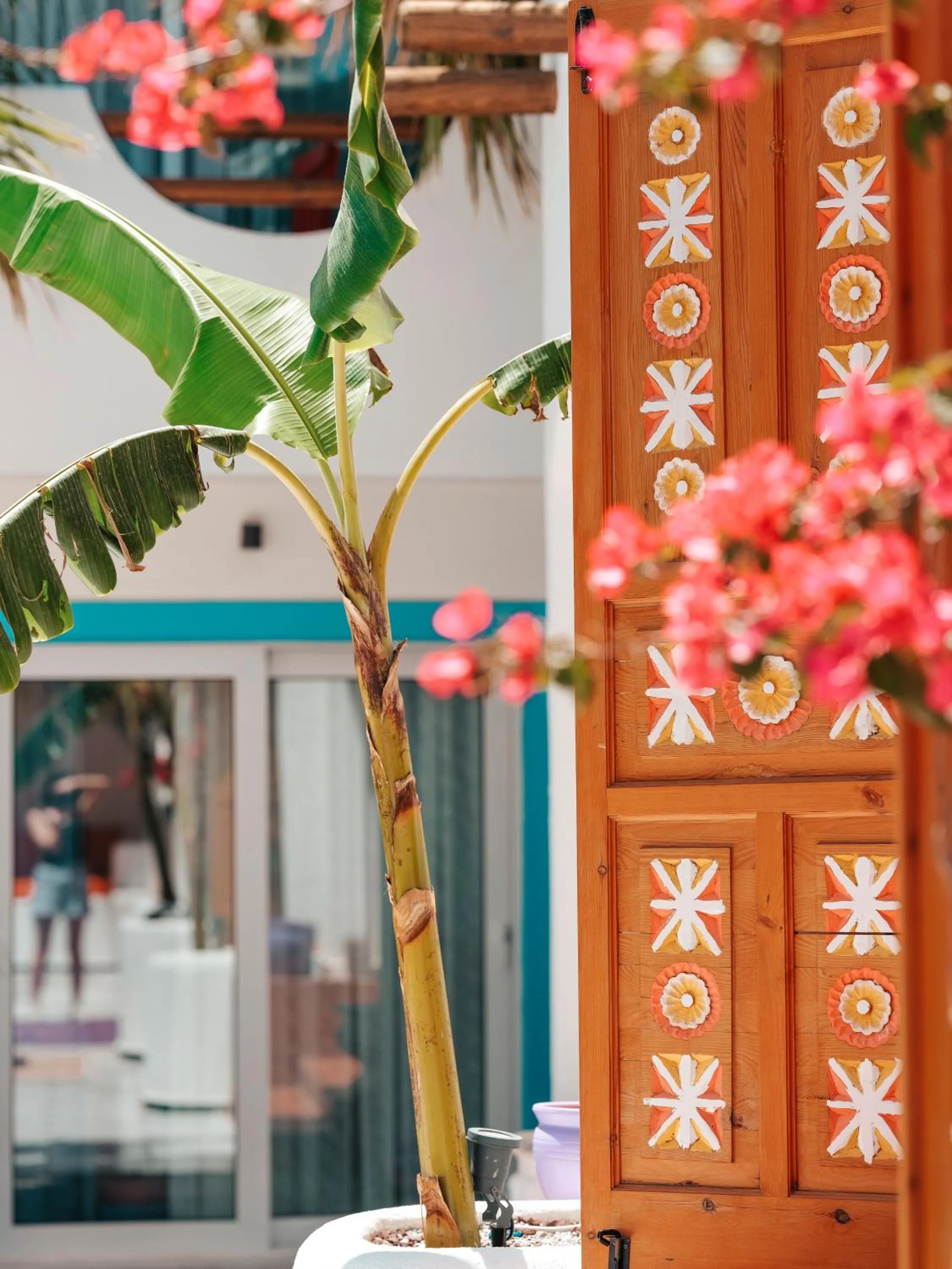 Garden in Casa De Nova Hotel