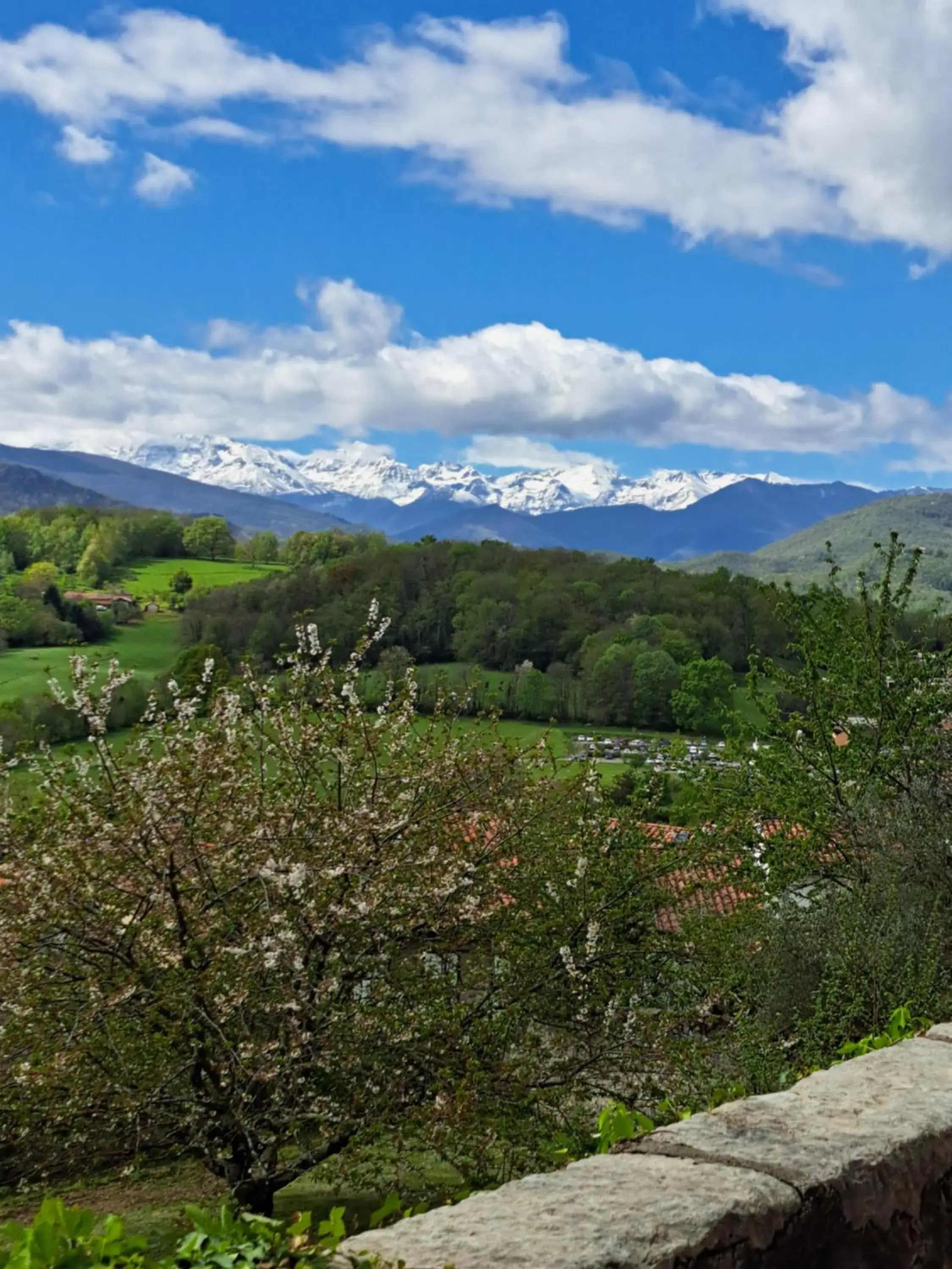 View (from property/room) in Terres de France - Domaine du Palais View (from property/room) in Terres de France - Domaine du Palais