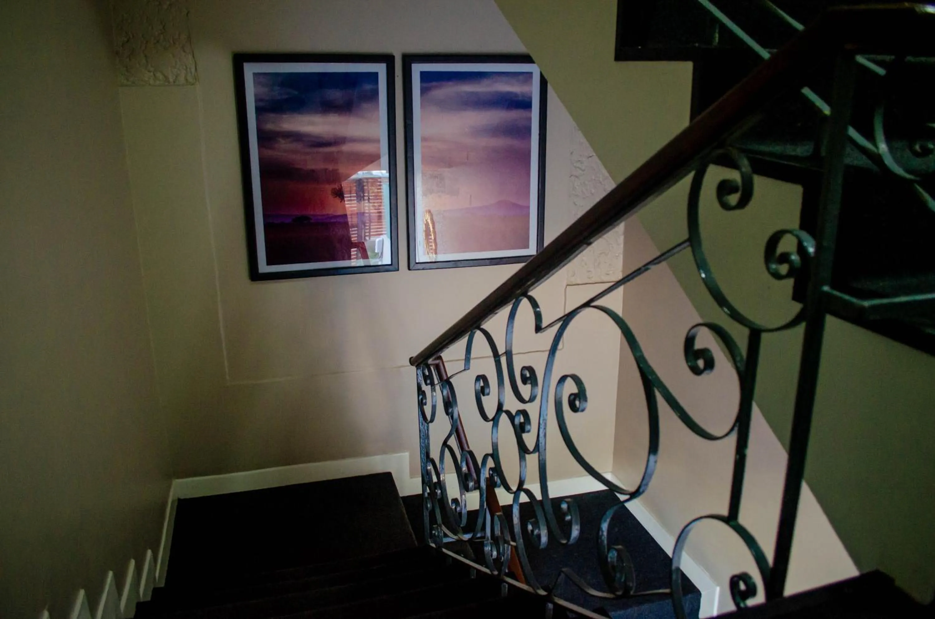 Terra Guest House