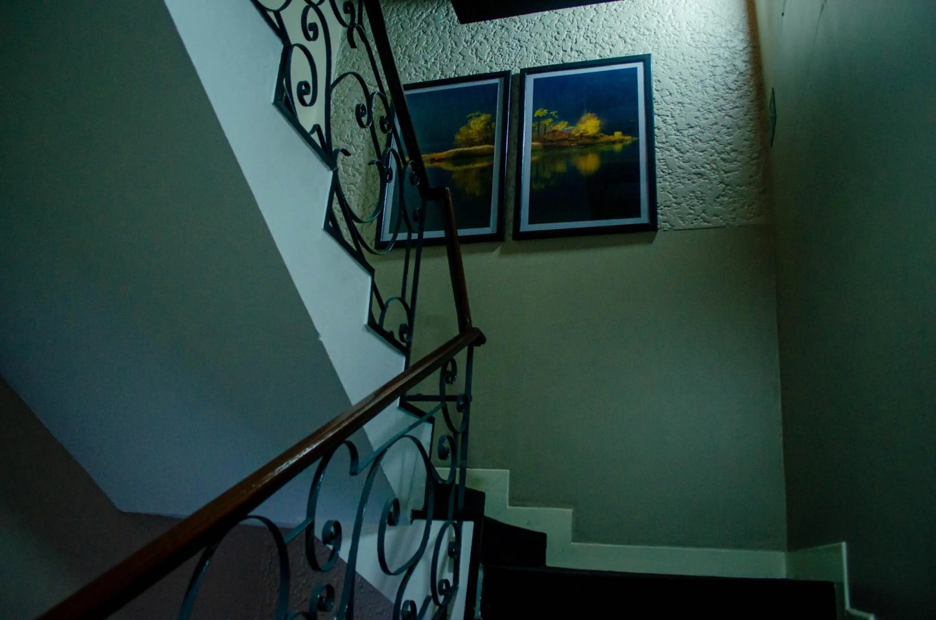 Terra Guest House