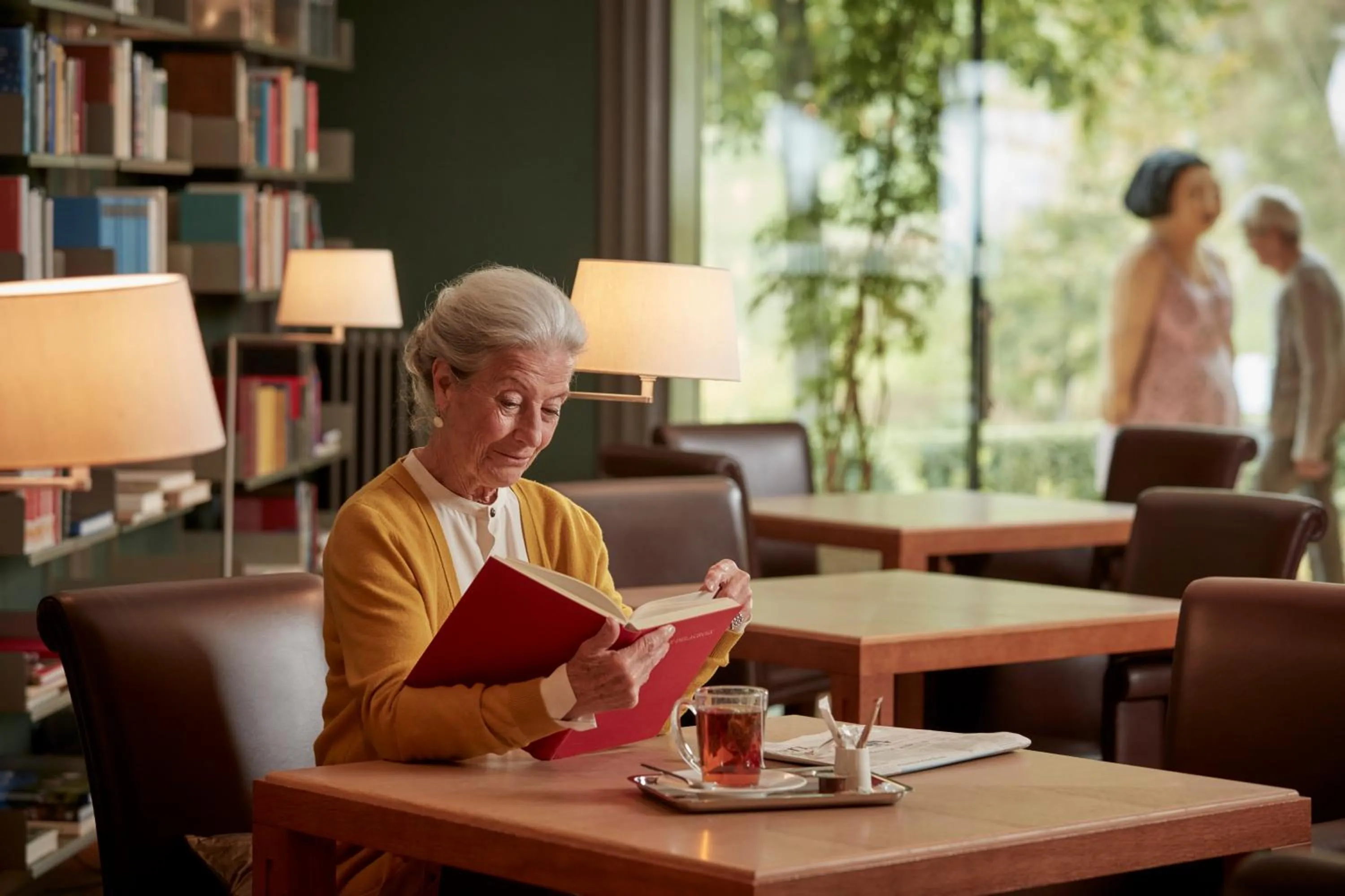 Library in Kurhotel Sonnmatt Luzern