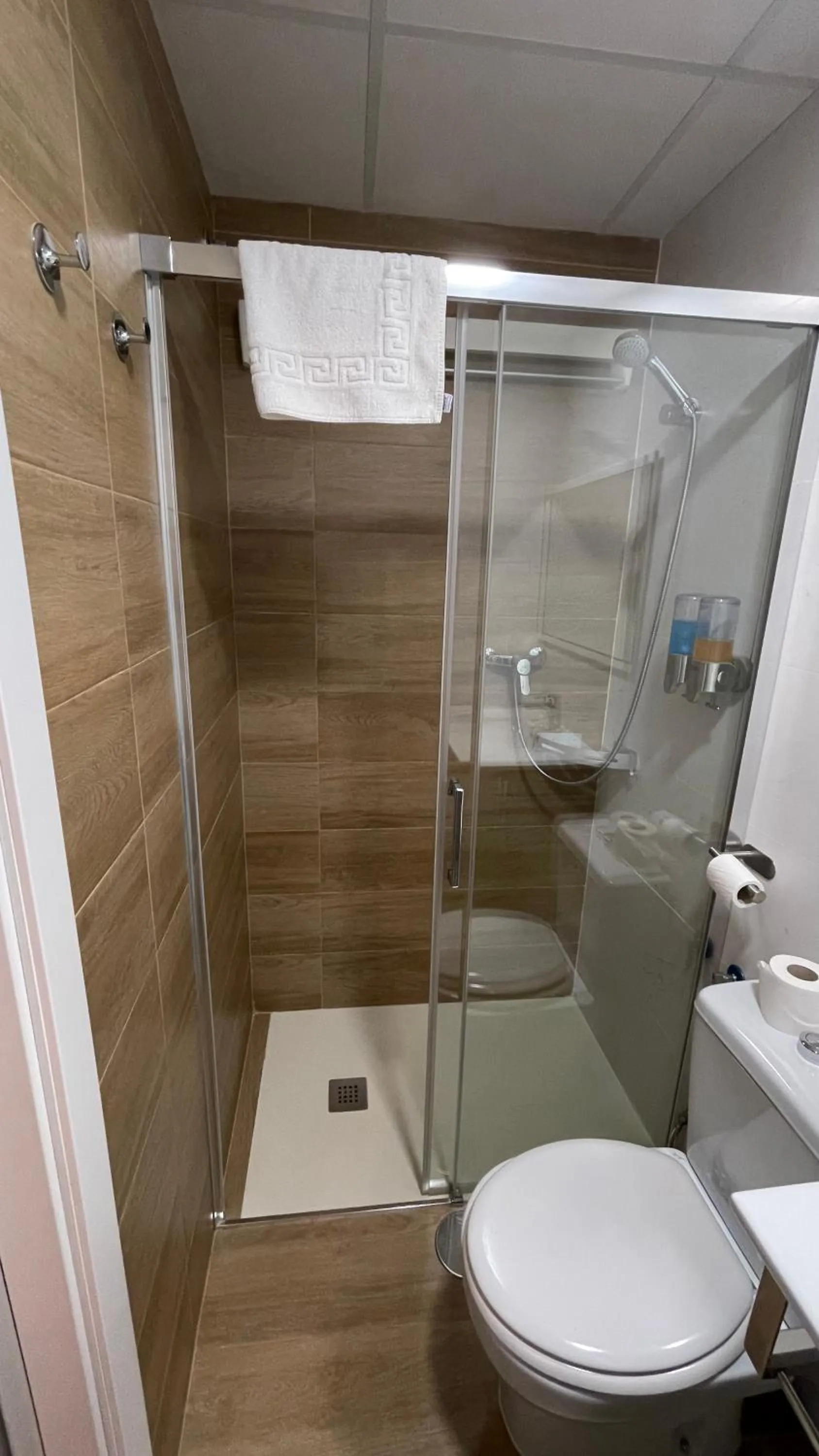 Toilet in Apartamentos Boni