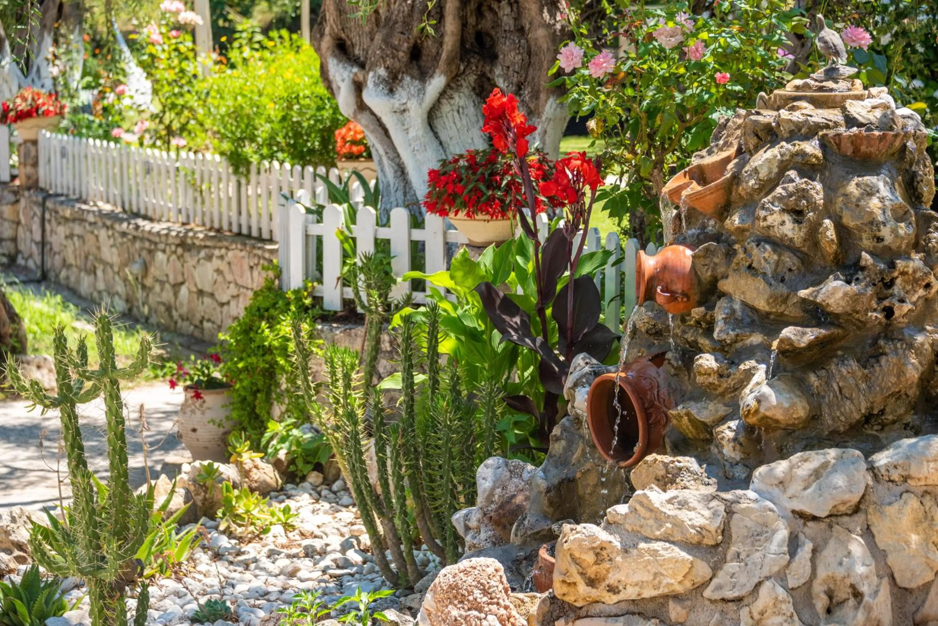 Garden in Anneta Studios