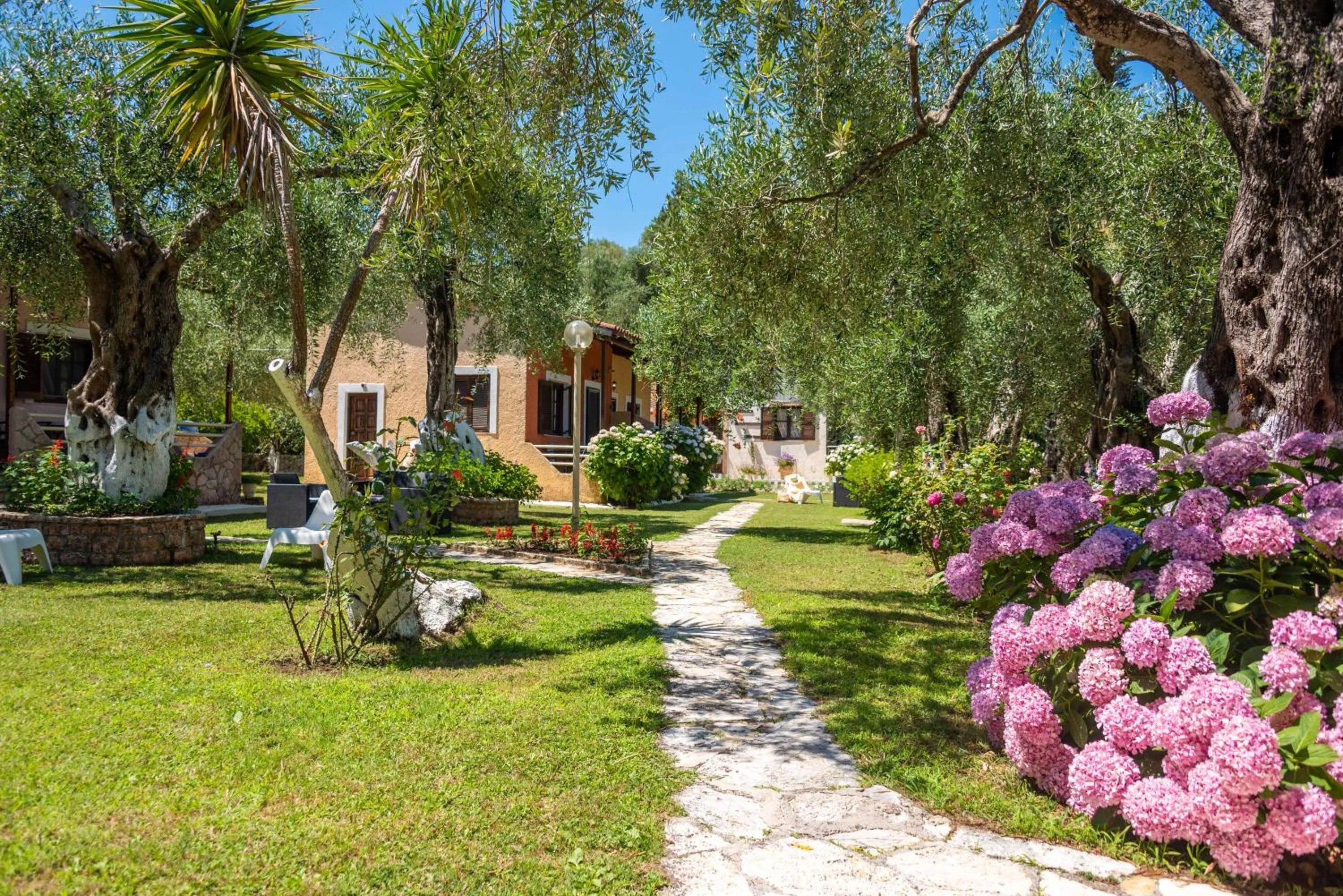 Garden in Anneta Studios