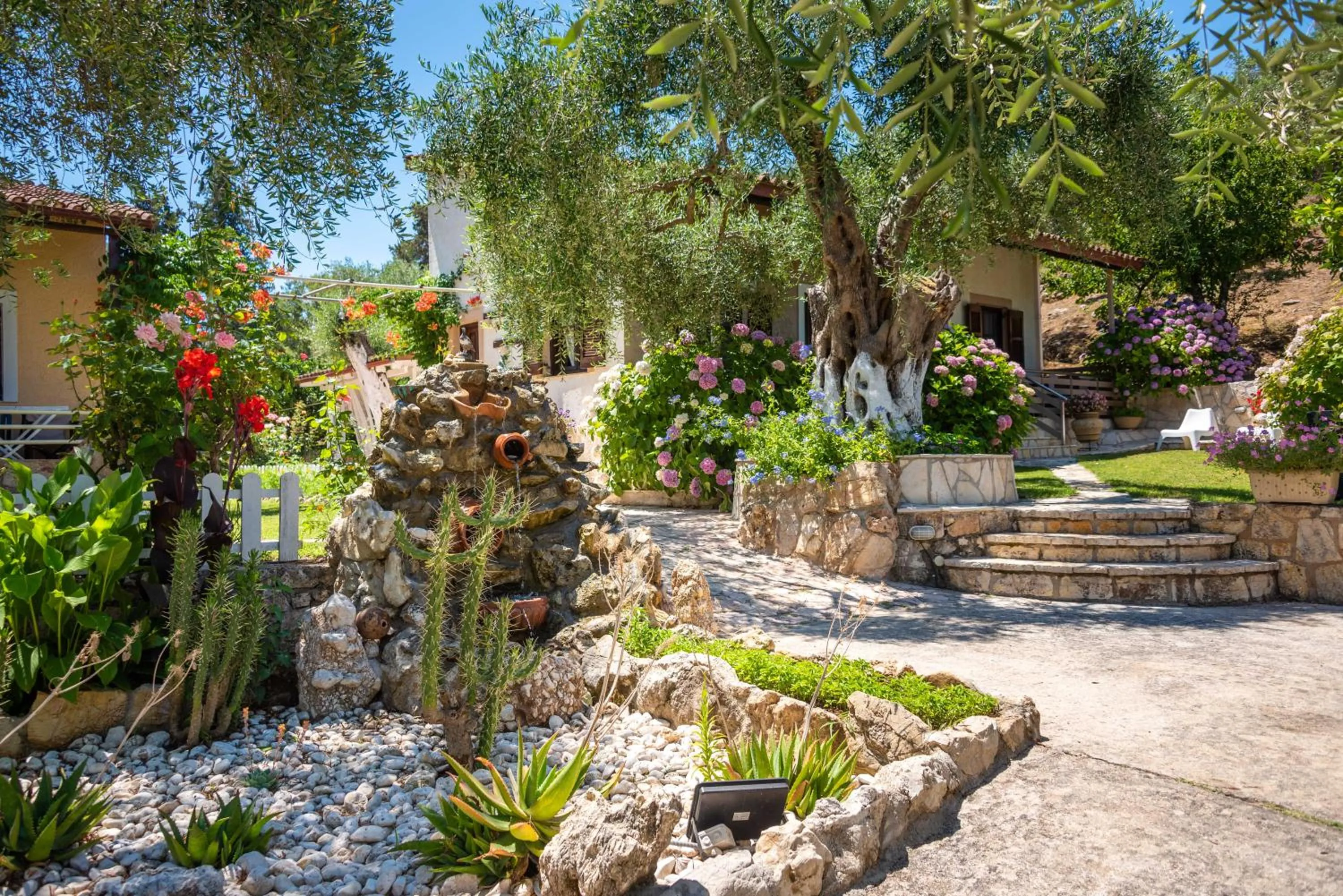 Garden in Anneta Studios