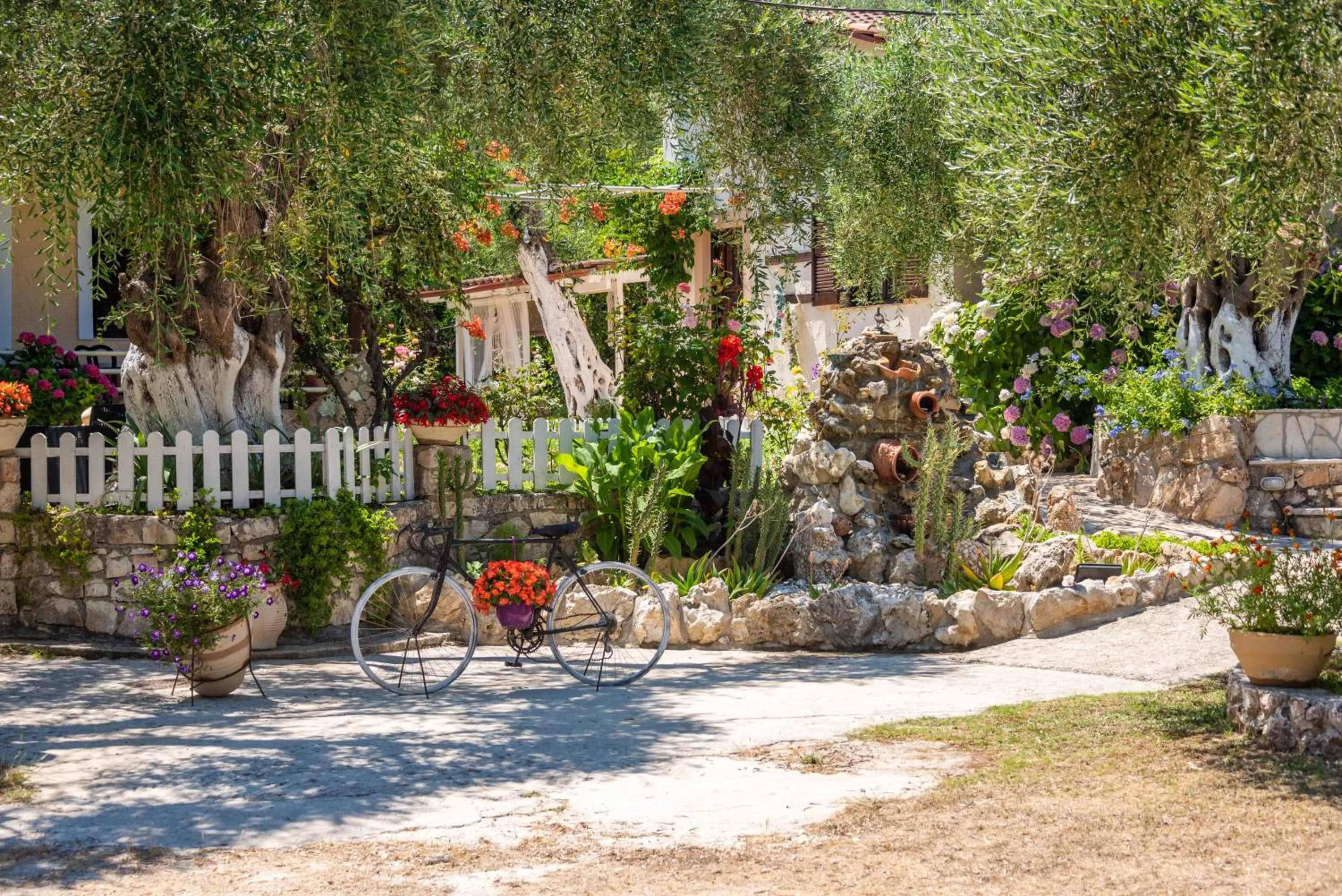 Garden in Anneta Studios