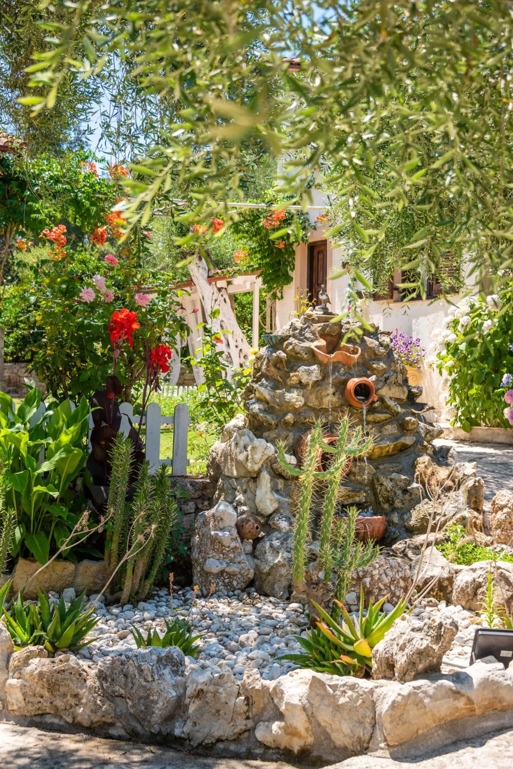 Garden in Anneta Studios