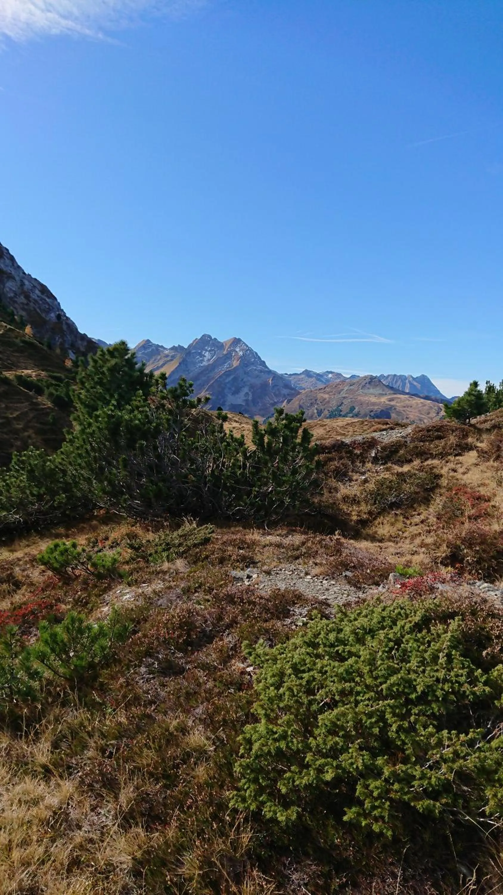 Natural landscape in Alpenherz Hotel Garni