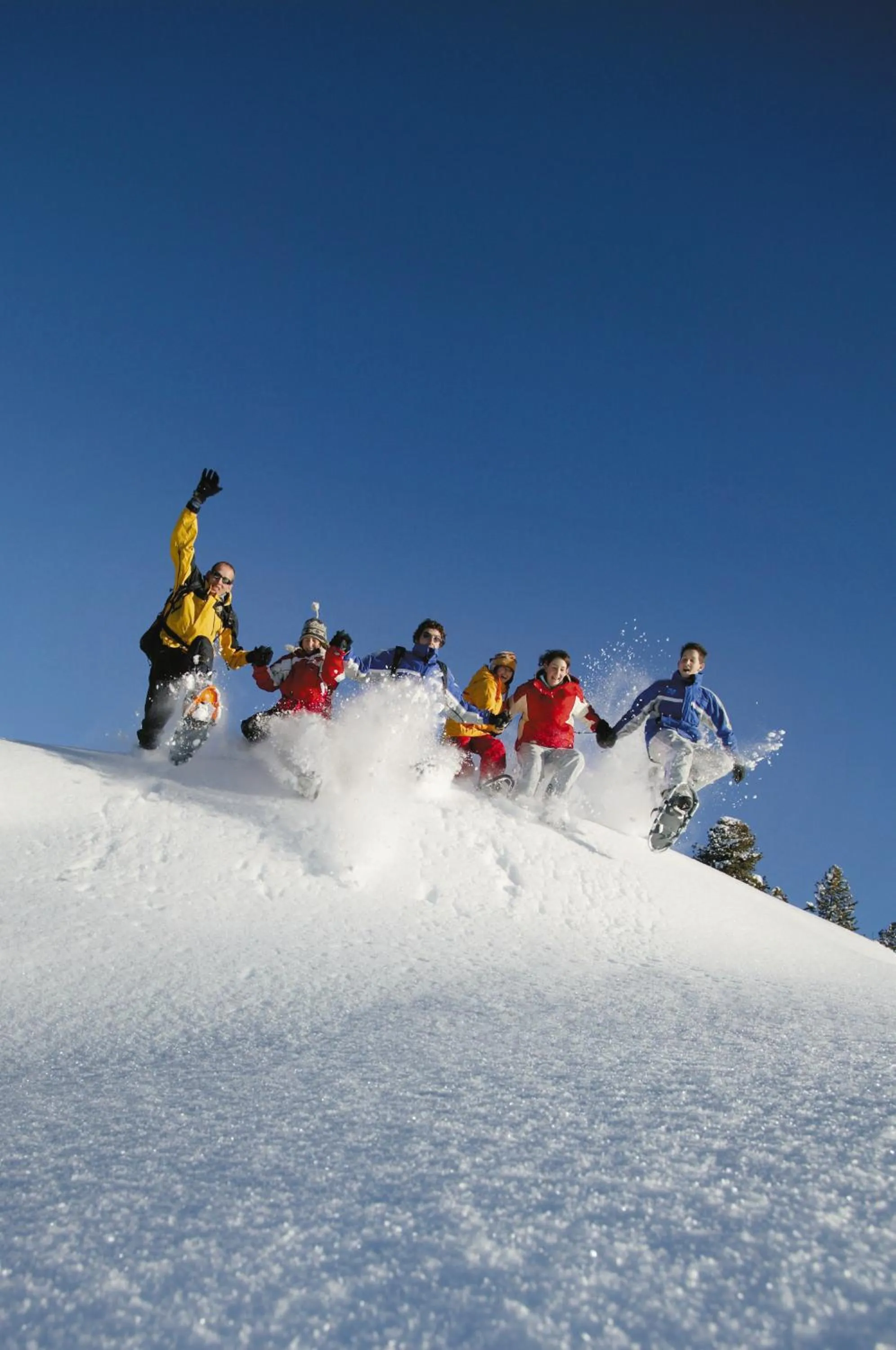 Skiing in Alpenherz Hotel Garni