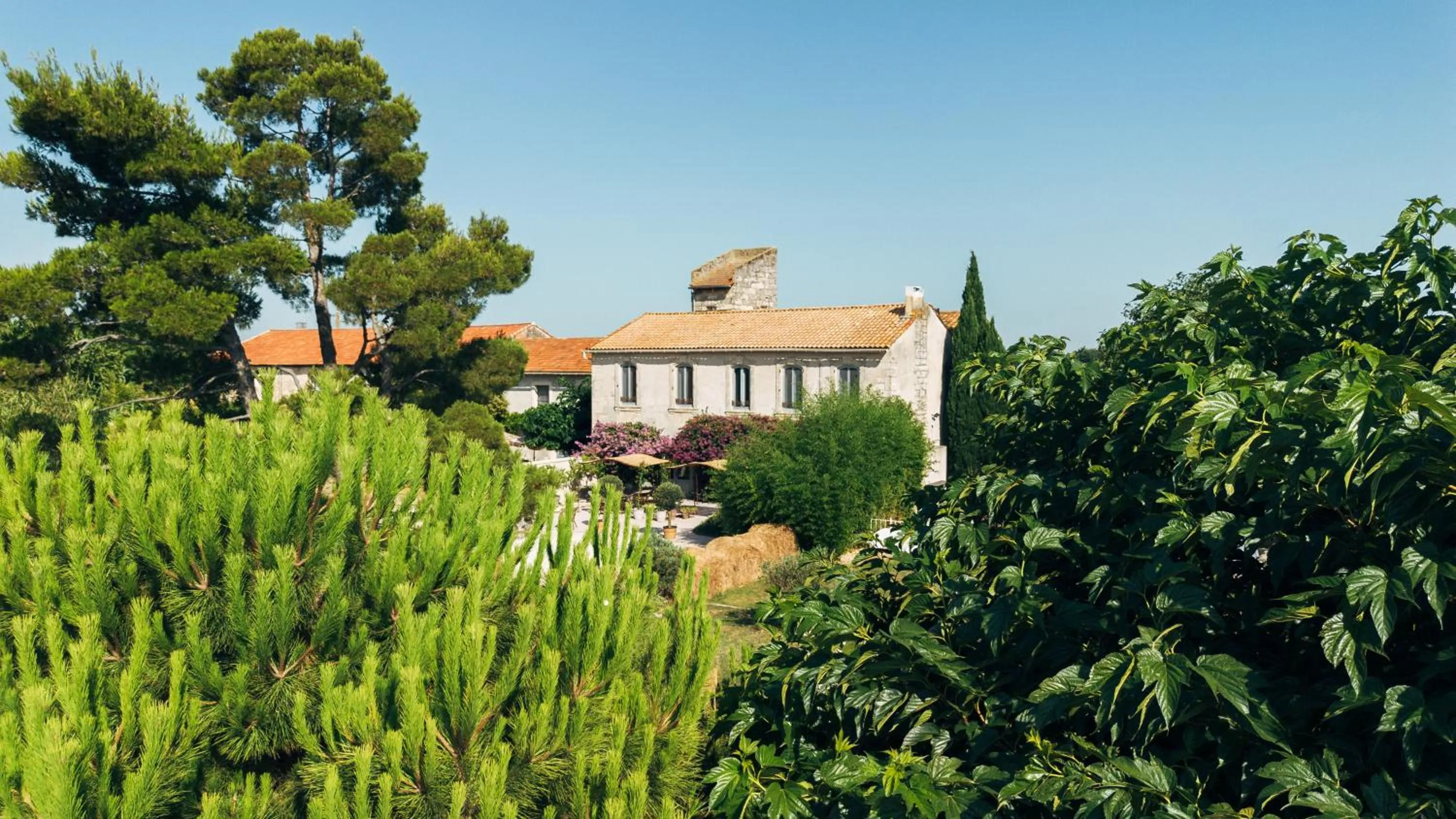 Maison Tara verte au Mas Montredon