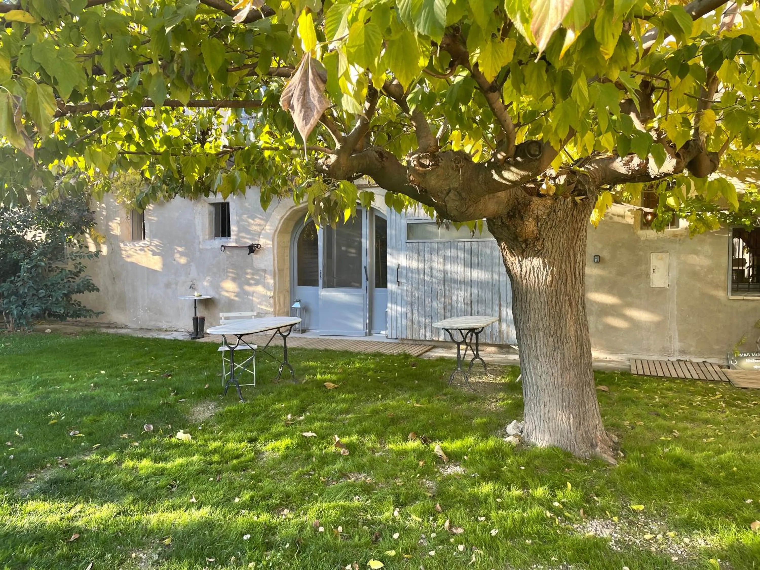 Maison Tara verte au Mas Montredon