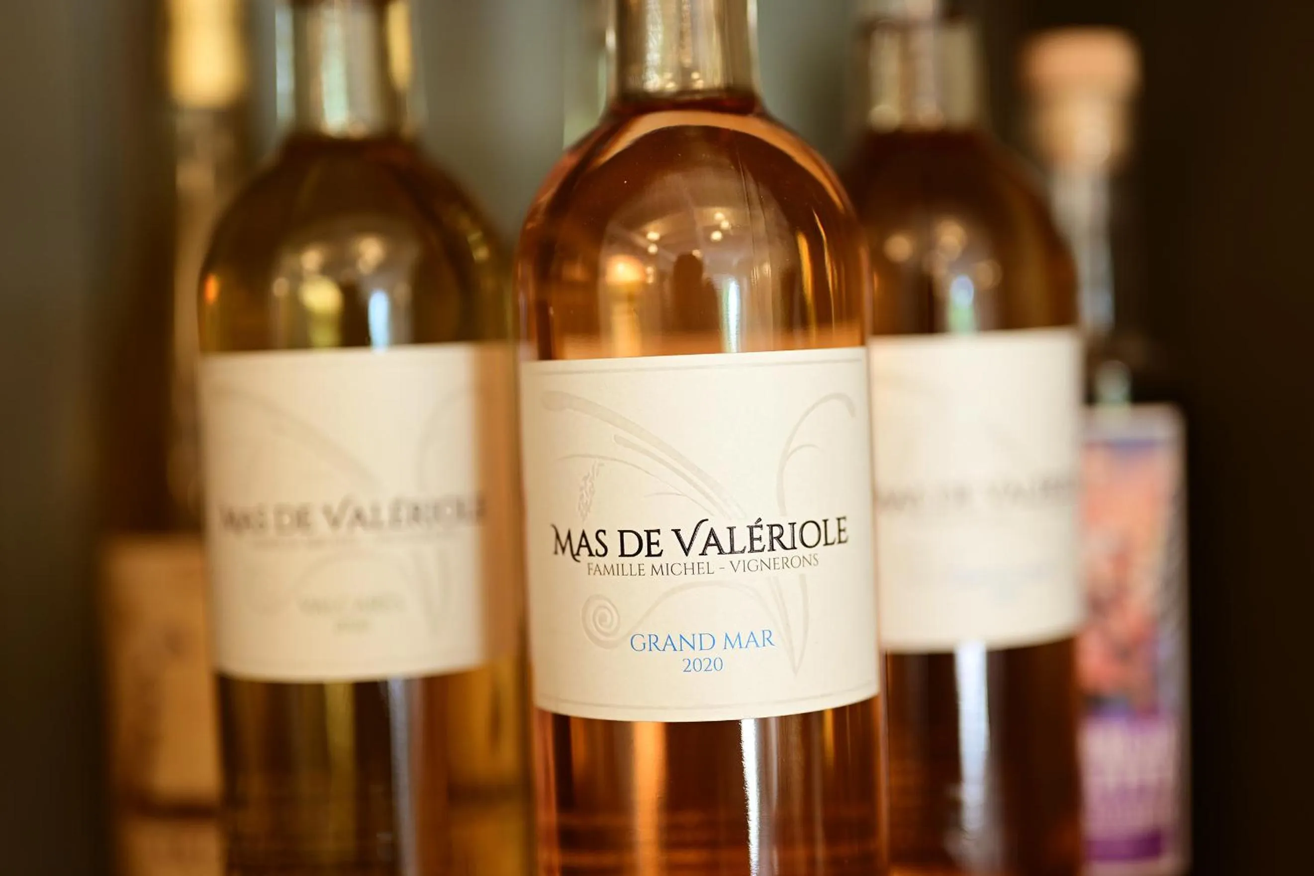 Maison Tara verte au Mas Montredon