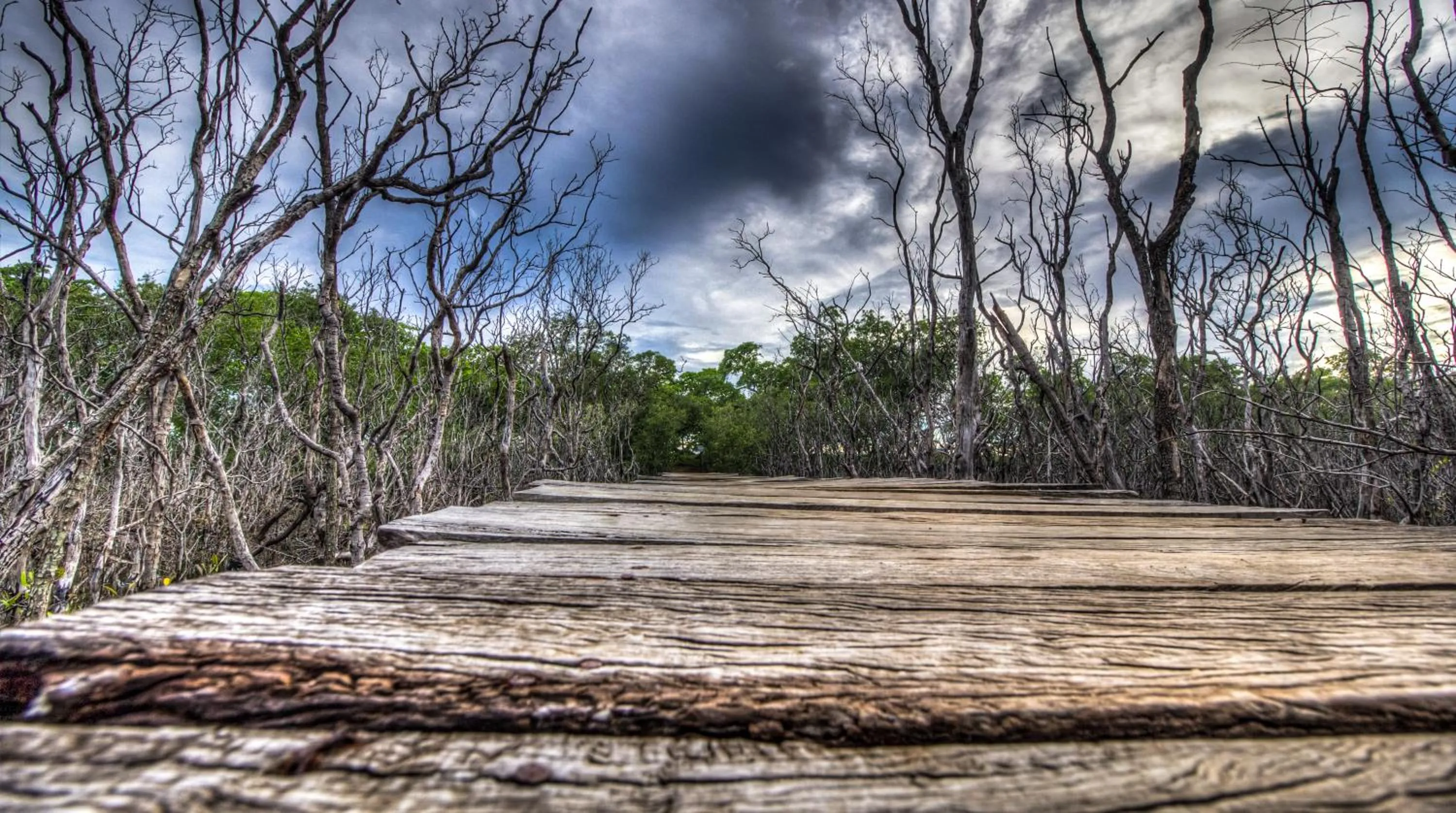Natural landscape in Cabinas Las Olas