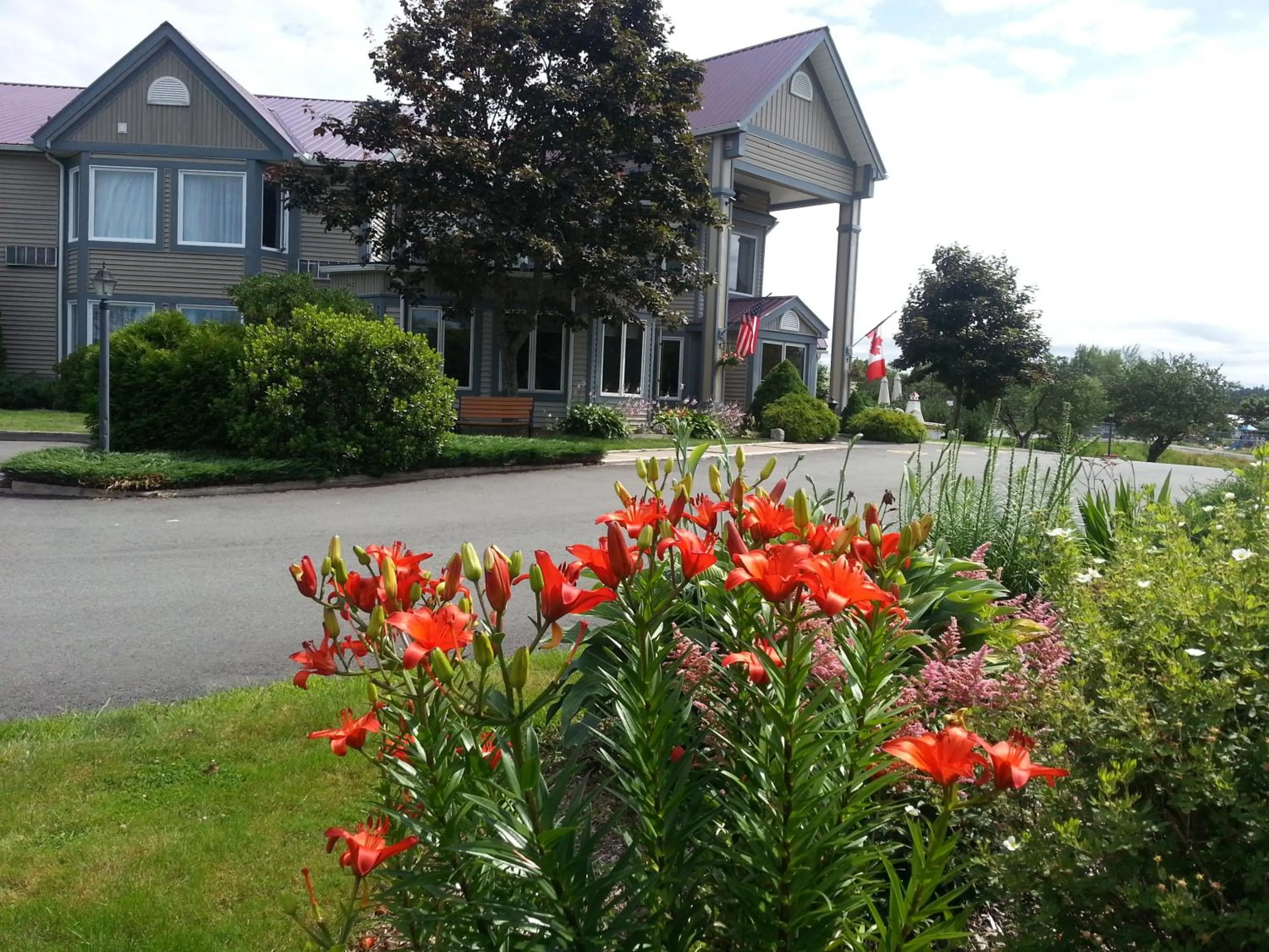 Garden in Granite Town Hotel