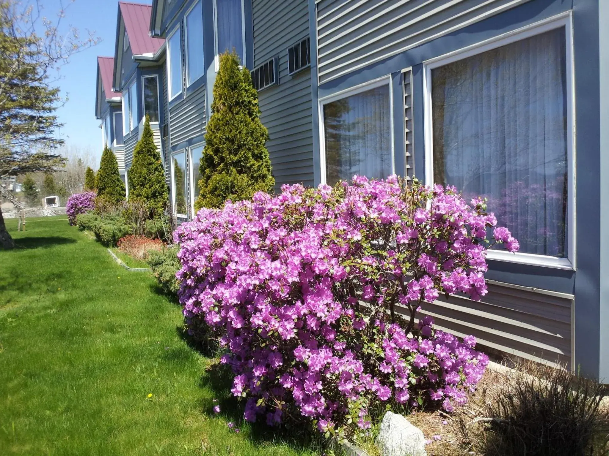 Garden view in Granite Town Hotel Garden view in Granite Town Hotel
