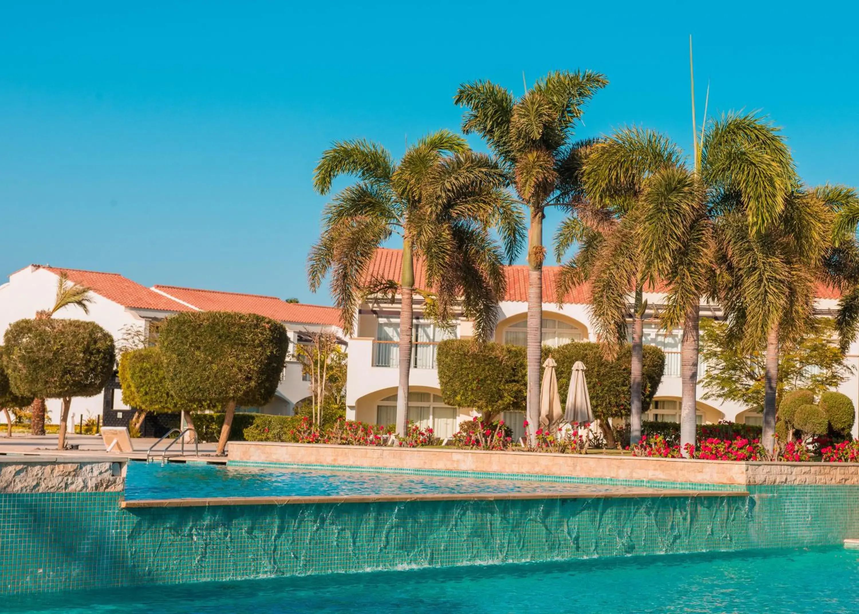 Swimming pool in Reef Oasis Blue Bay Resort & Spa Swimming pool in Reef Oasis Blue Bay Resort & Spa