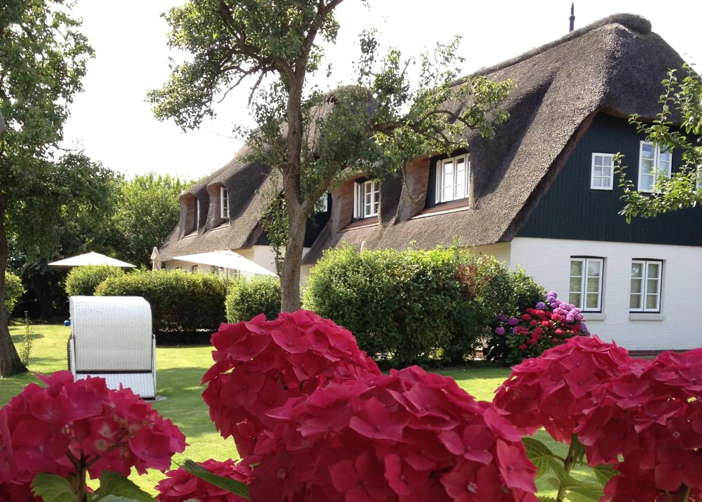 Balcony/Terrace in Rackmers Hof - Suiten Hotel garni mit Sauna