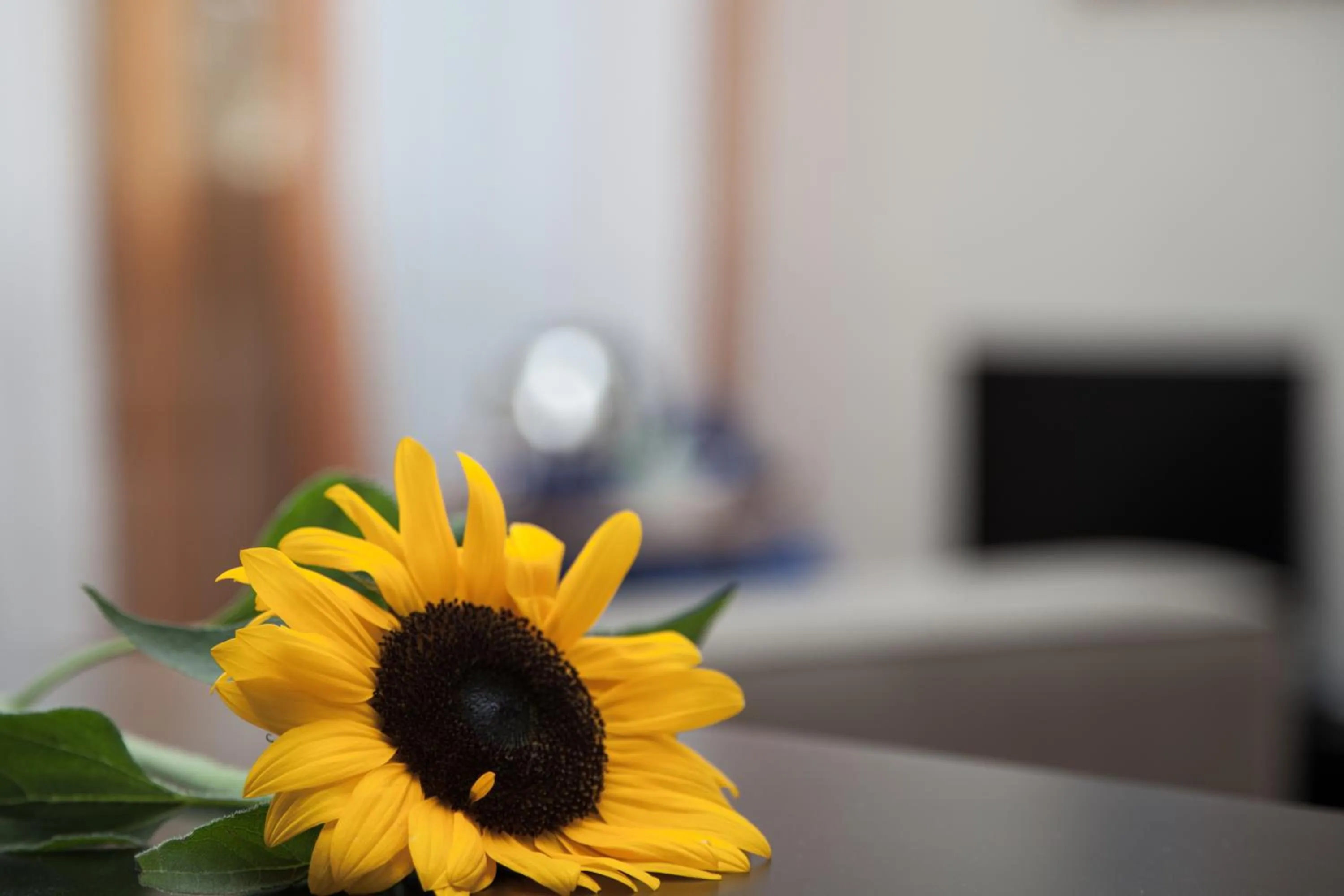 Lobby or reception, Bed in Santa Croce