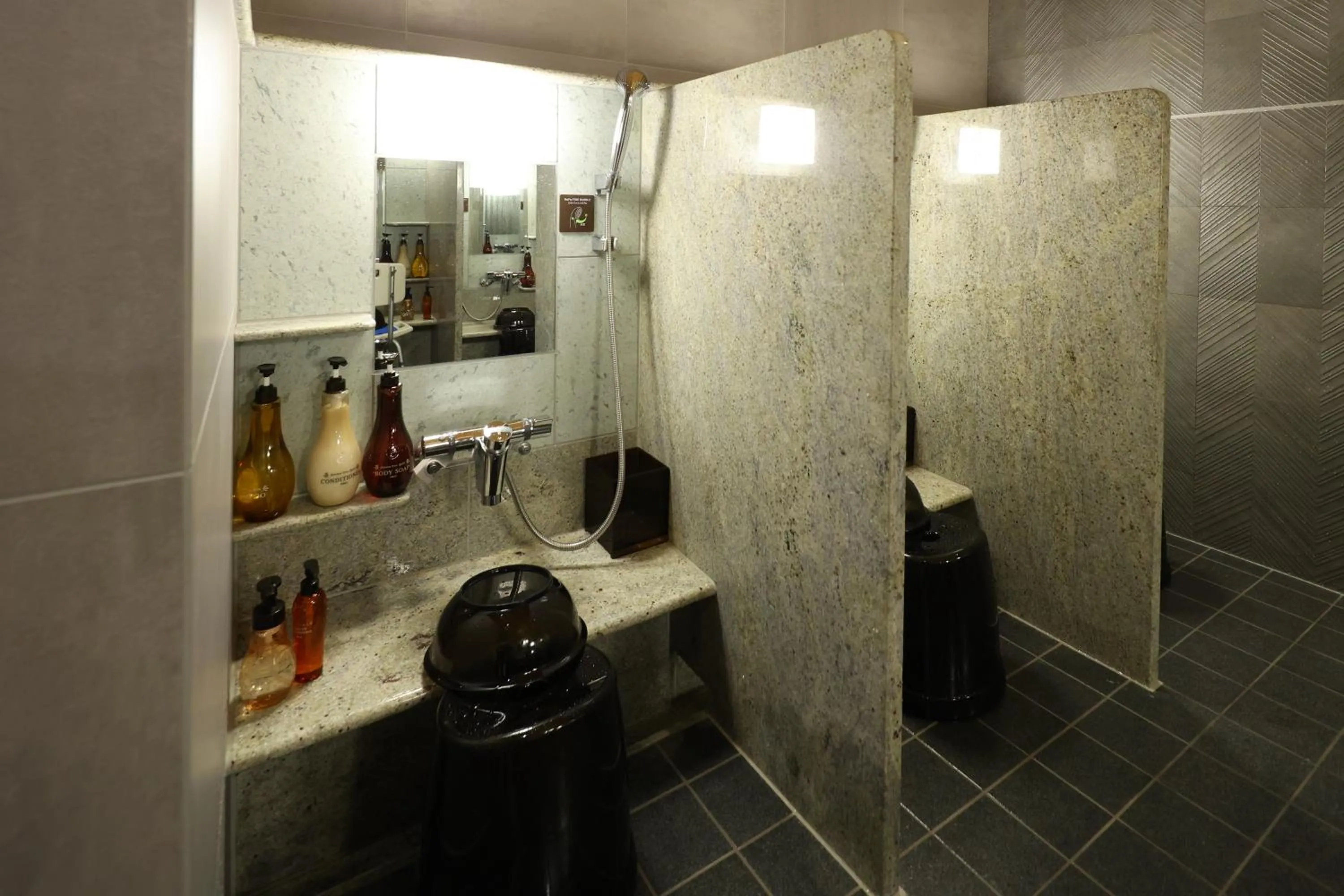 Public Bath in Dormy Inn Premium Ginza - Natural Hot Spring