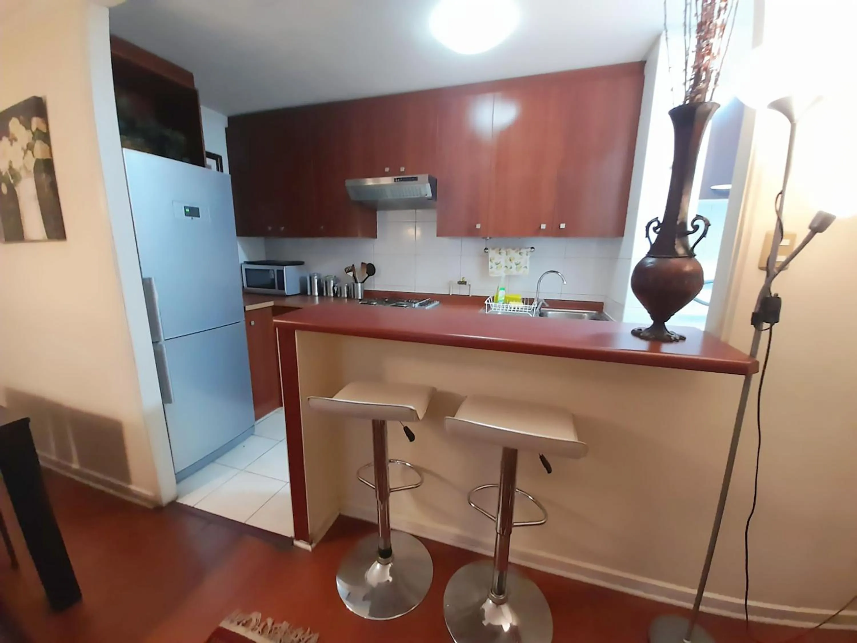 Kitchen or kitchenette in VIP Apartments Chile