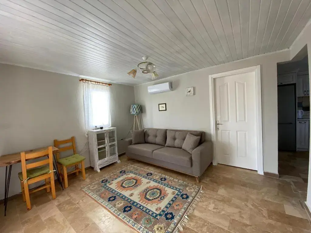 Living room in Casa Di Datca Living room in Casa Di Datca