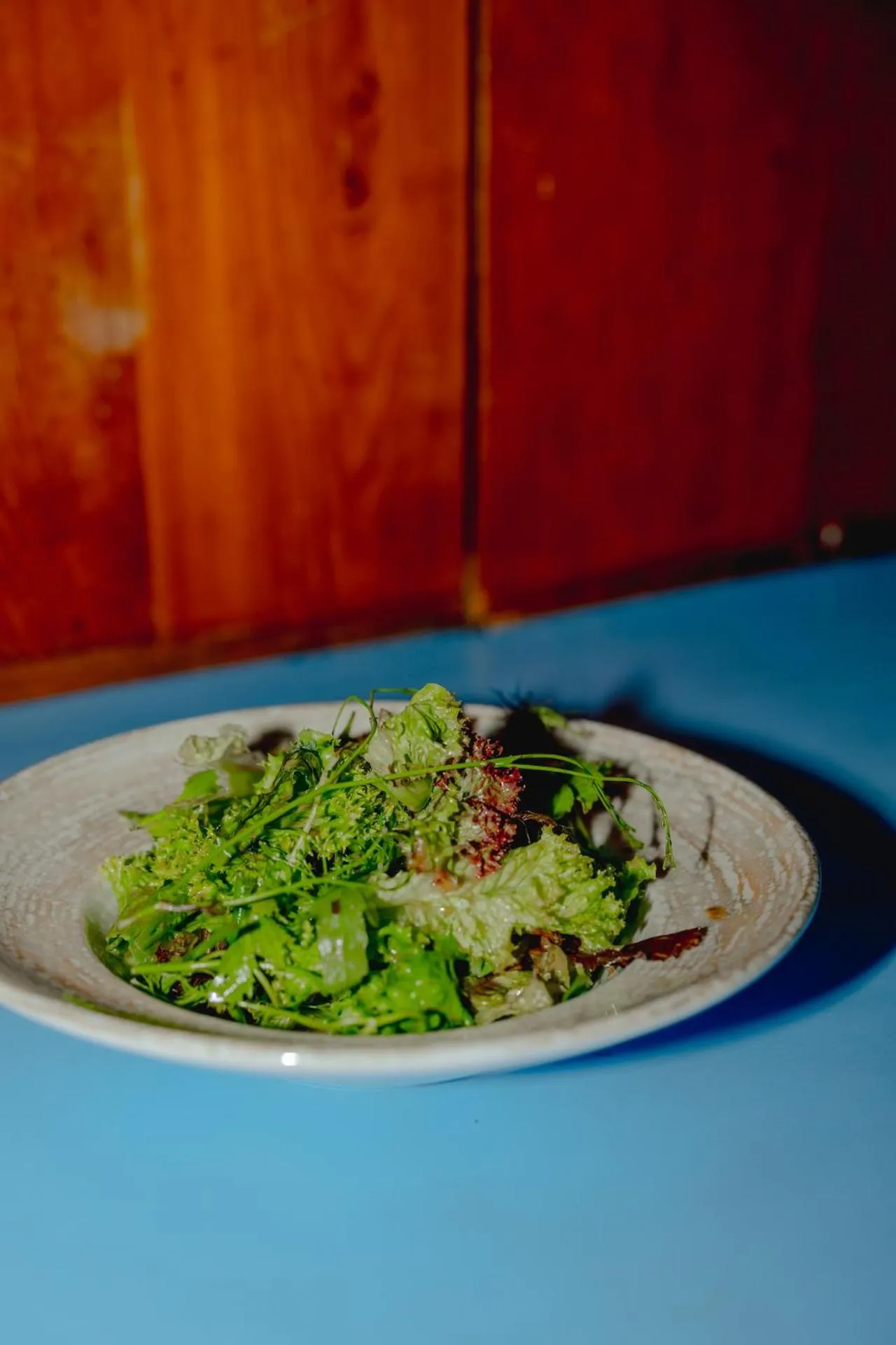 Gjaid-Alm 1739m am Dachstein-Only Accessible by Cable Car