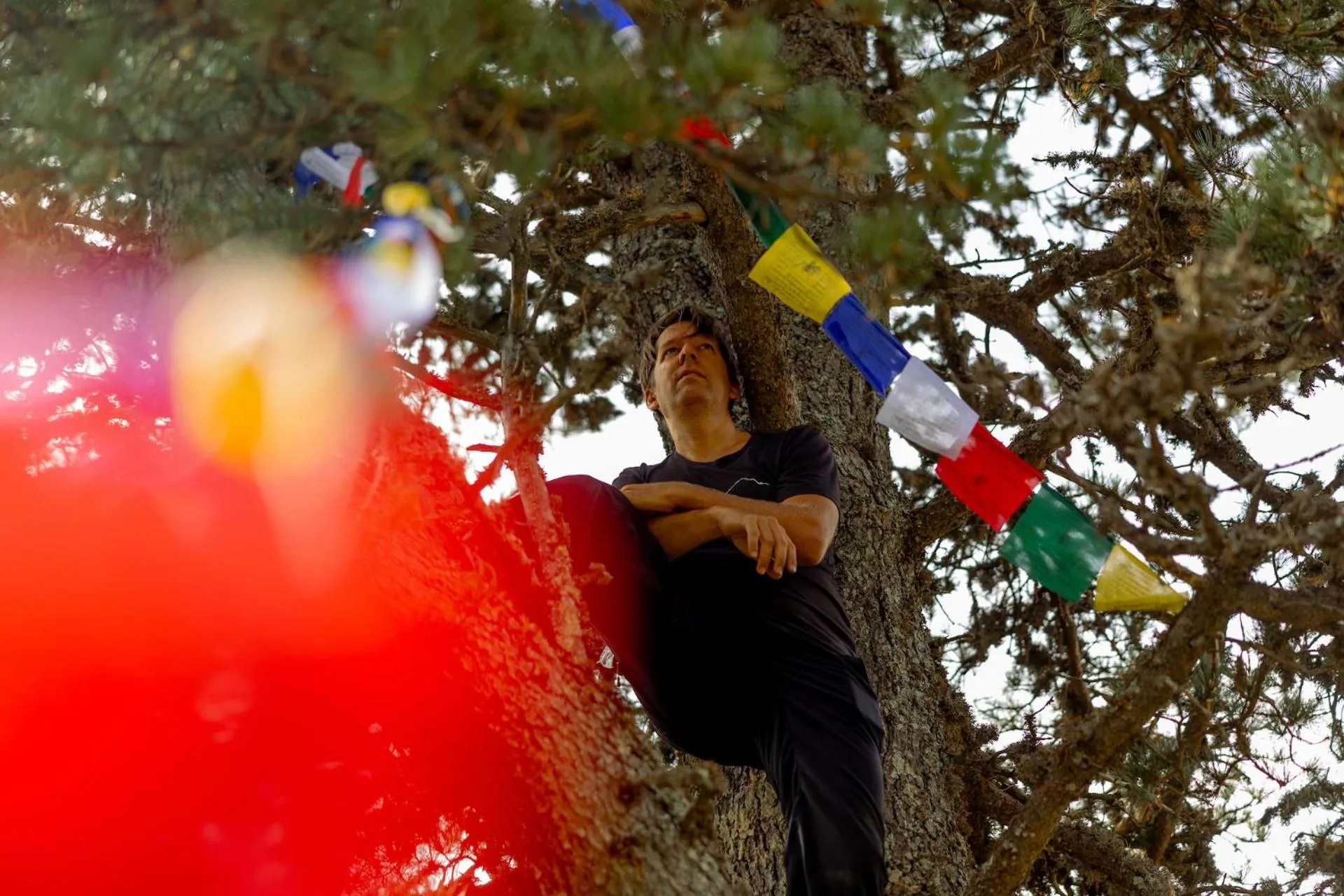 Gjaid-Alm 1739m am Dachstein-Only Accessible by Cable Car