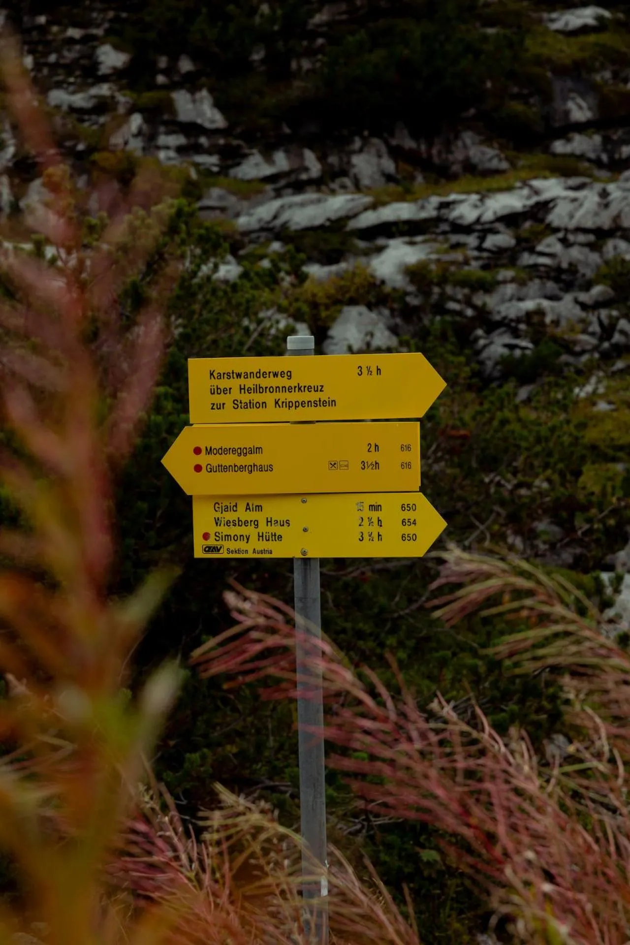 Gjaid-Alm 1739m am Dachstein-Only Accessible by Cable Car