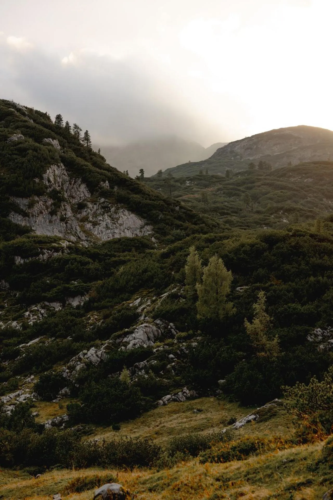 Gjaid-Alm 1739m am Dachstein-Only Accessible by Cable Car