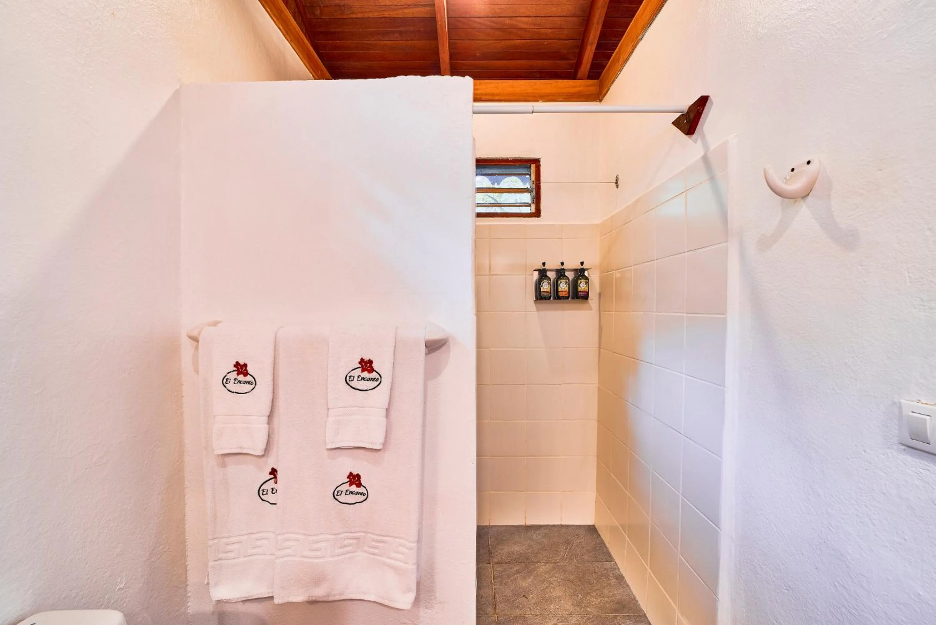 Shower in Hotel El Encanto