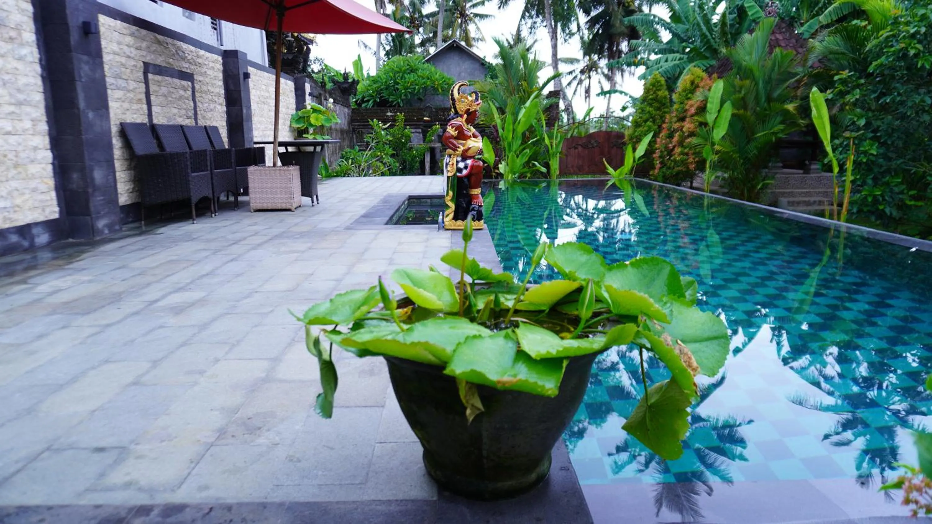 Swimming pool in Royani Villa
