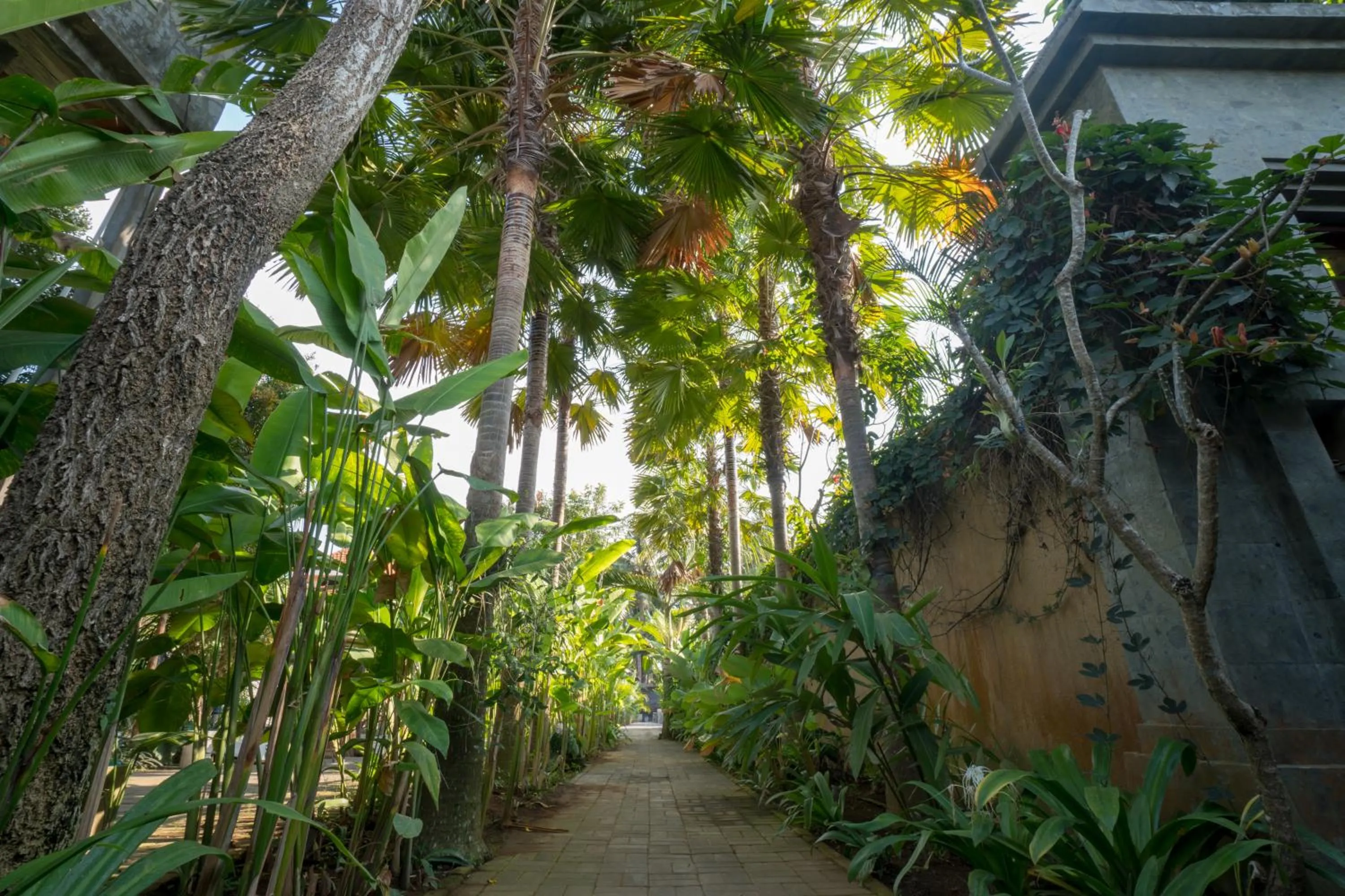 Garden in Royani Villa