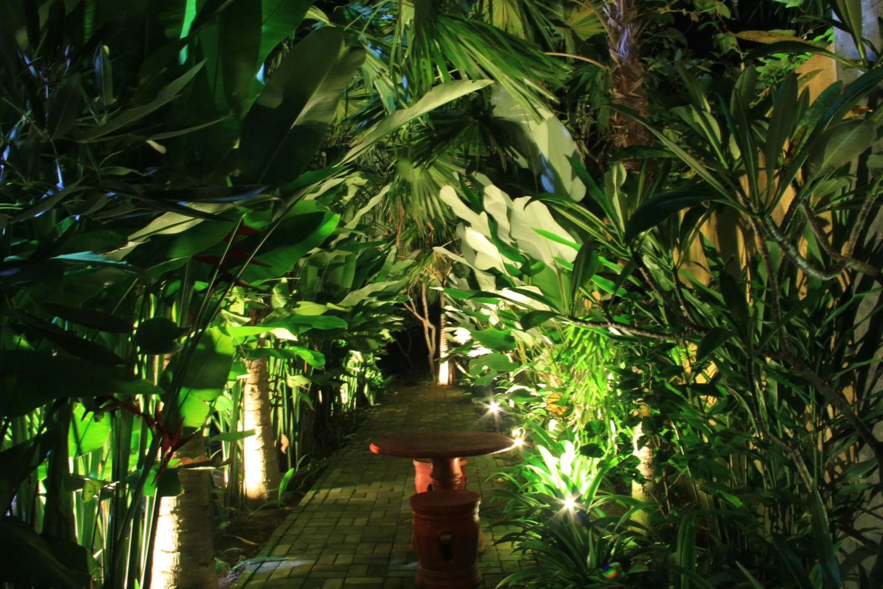 Garden in Royani Villa