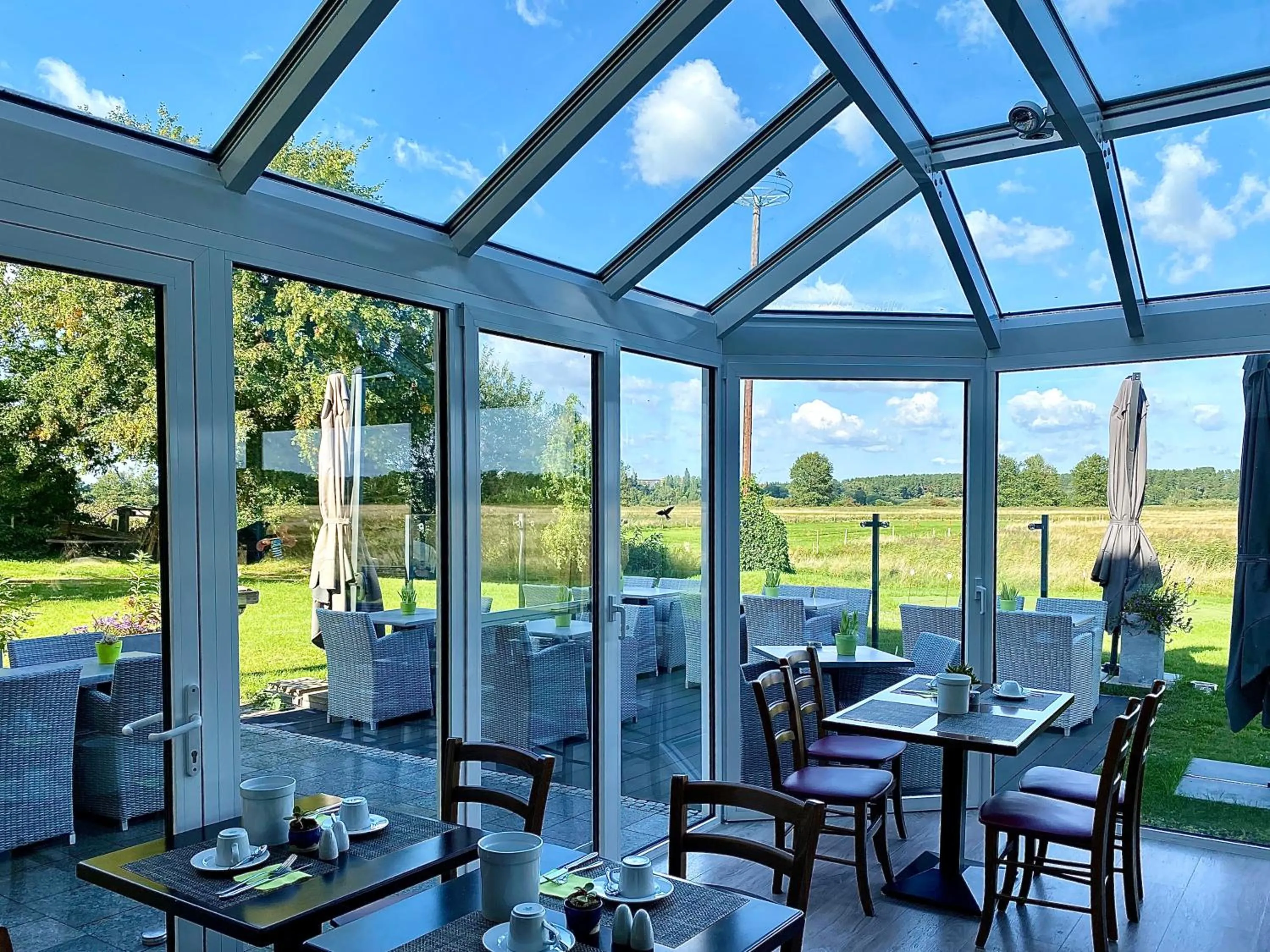 Restaurant/places to eat in Hotel am Müritz-Nationalpark