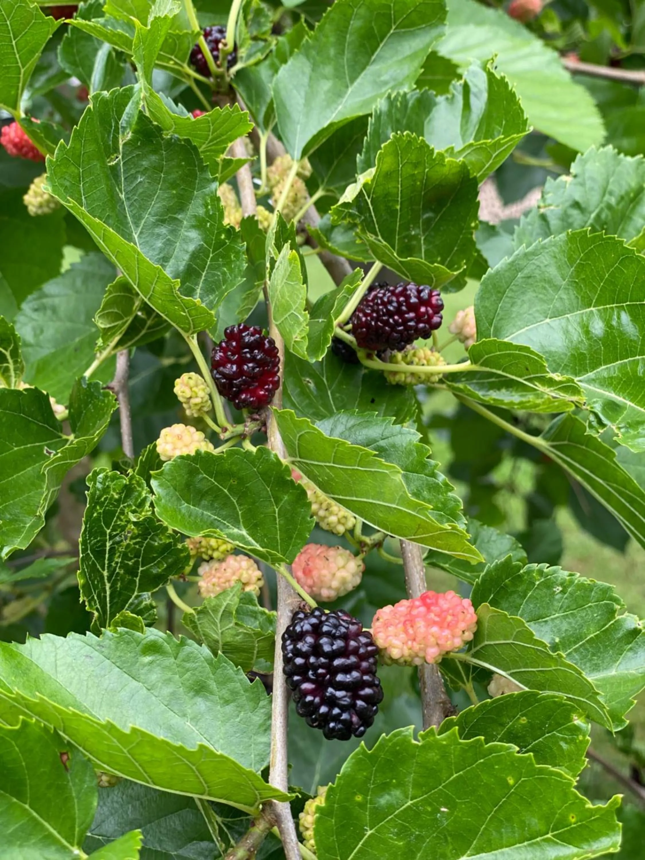 Property building in Hotel am Müritz-Nationalpark
