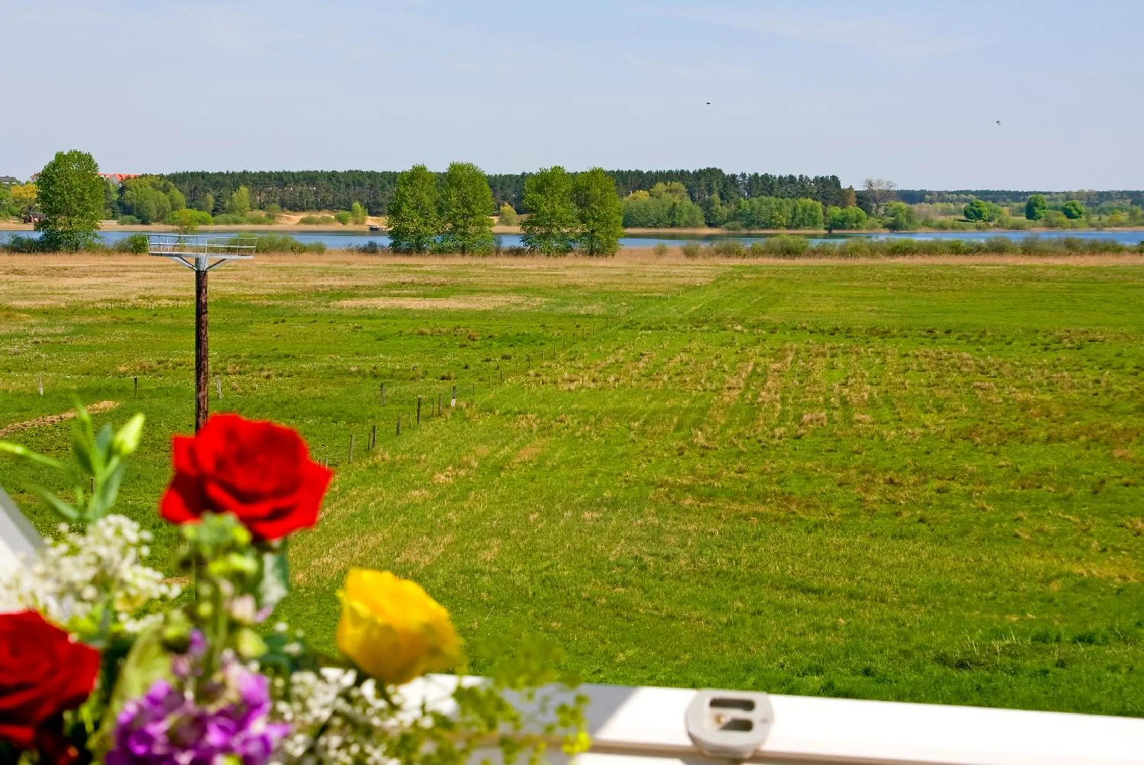 View (from property/room) in Hotel am Müritz-Nationalpark